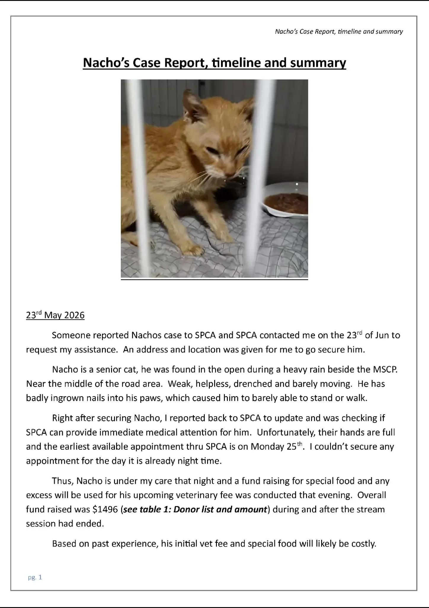 @Rescue Meows 🐈
