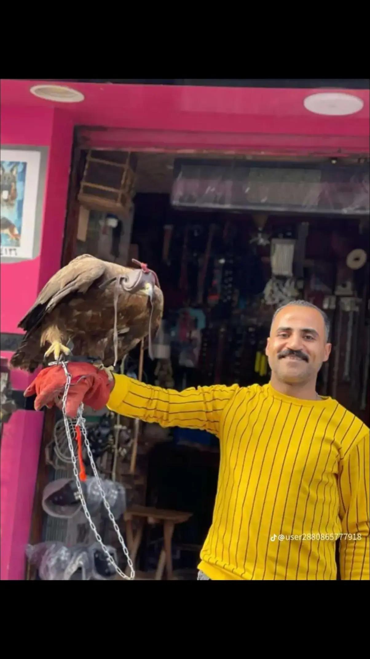 @السعيد كشك ابو النمر