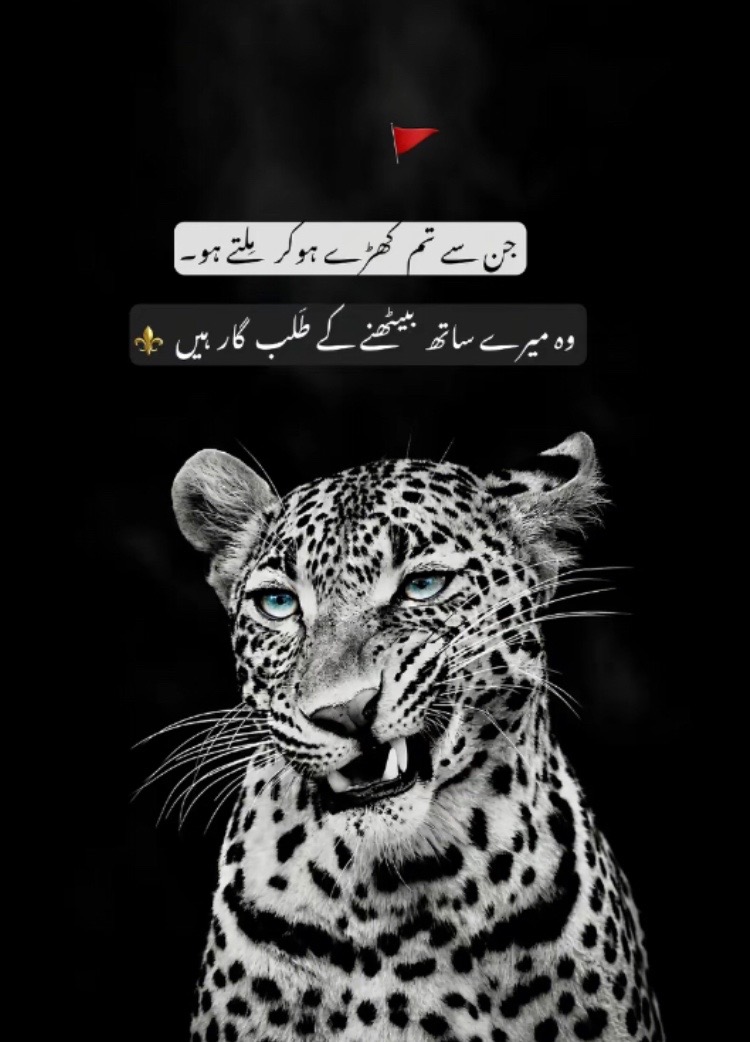 @🍃&rdquo;LaDi&rdquo;🖤