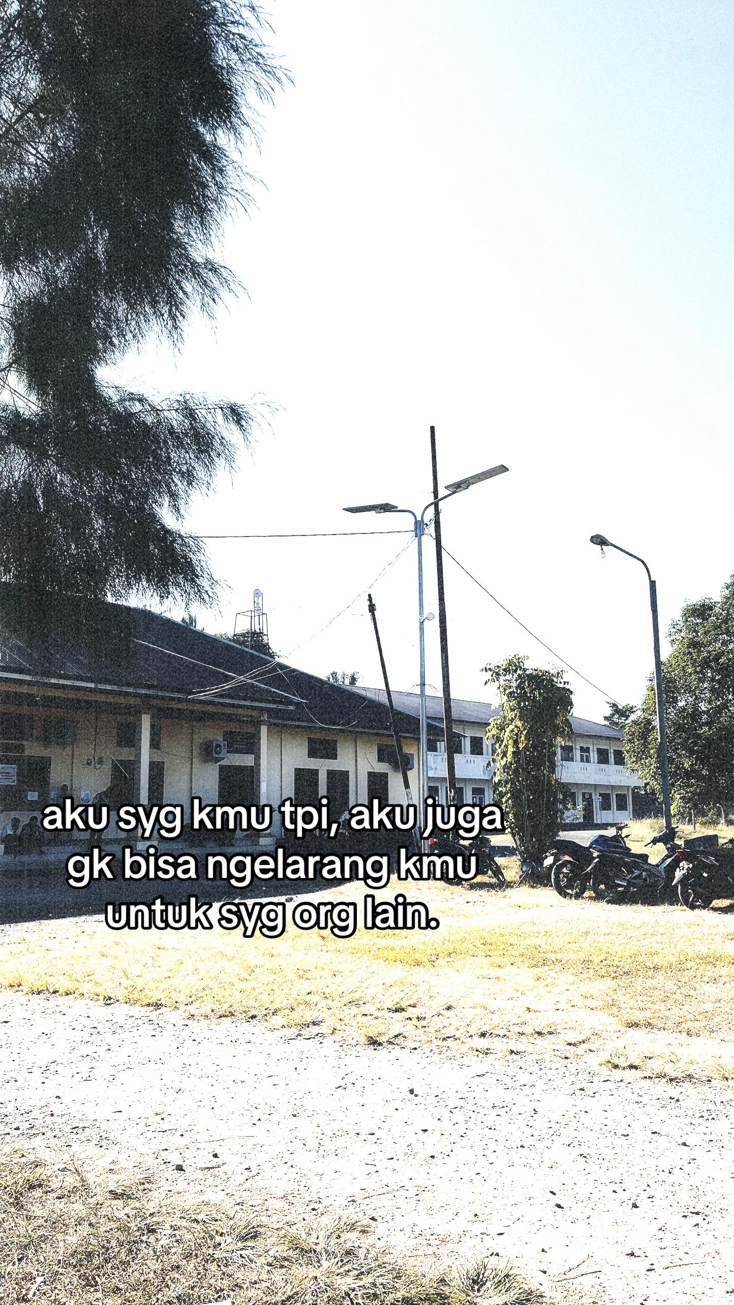 @faldy