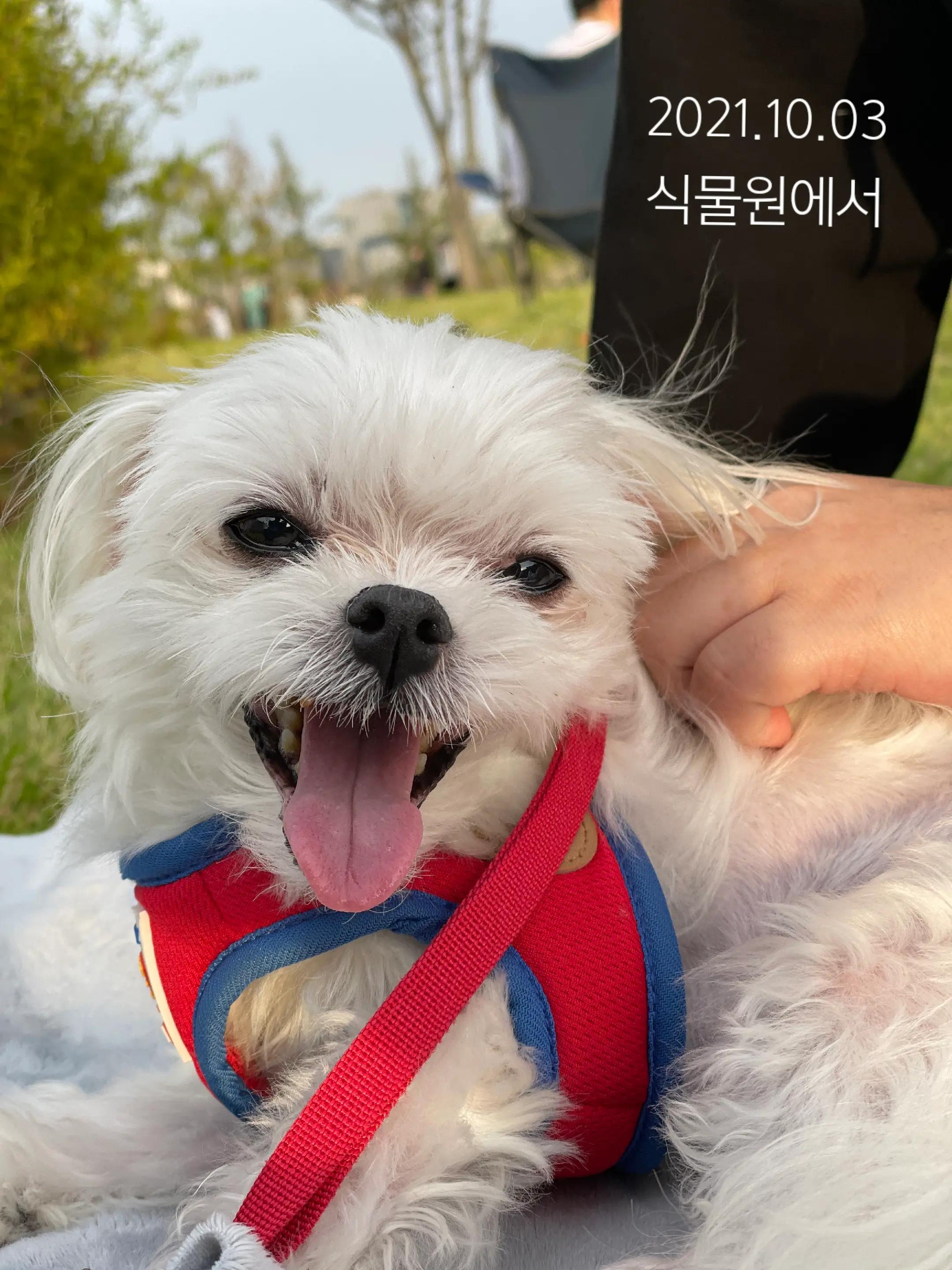 @초롱맘