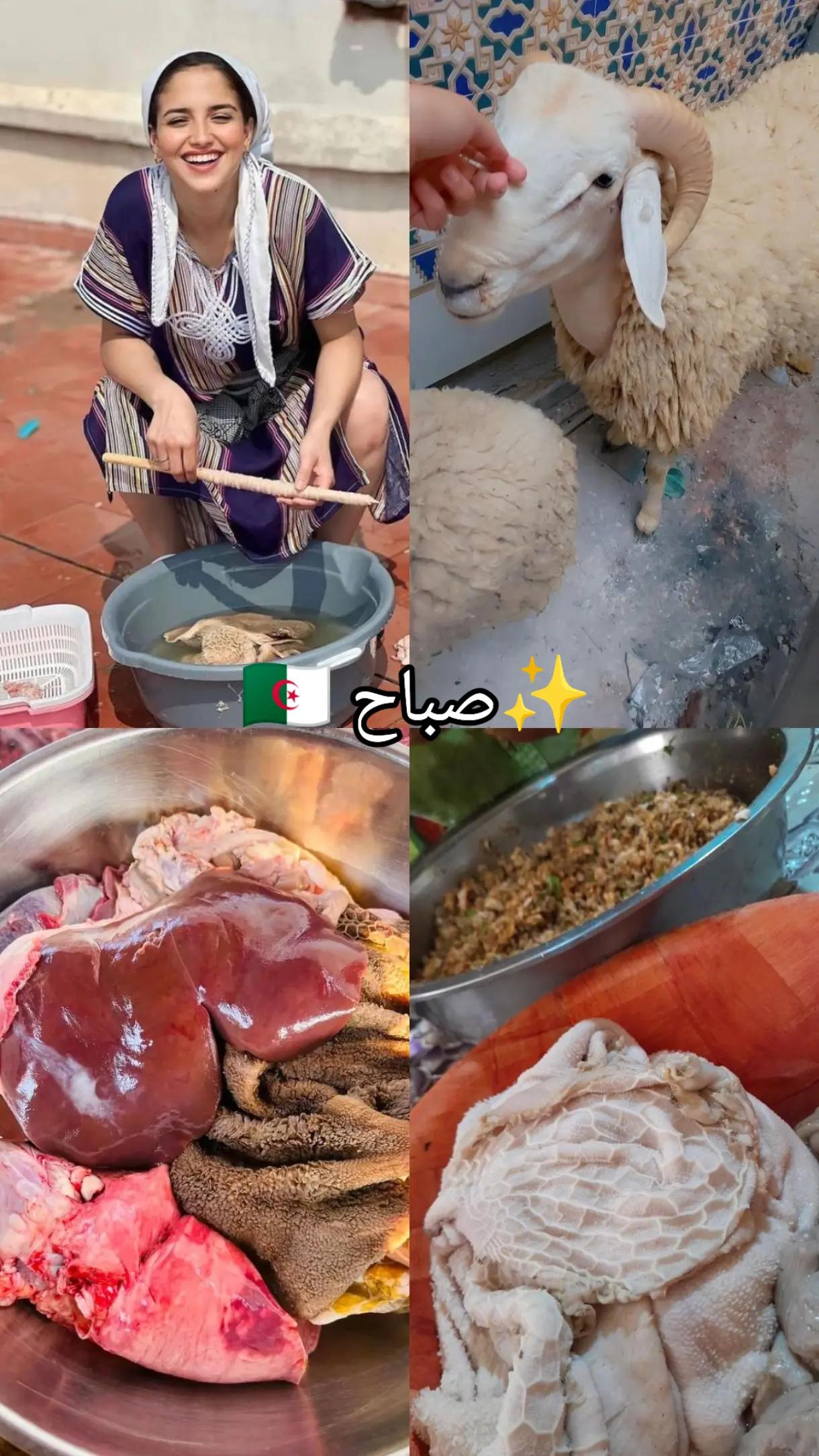 @طبيعية حياتي 🌸