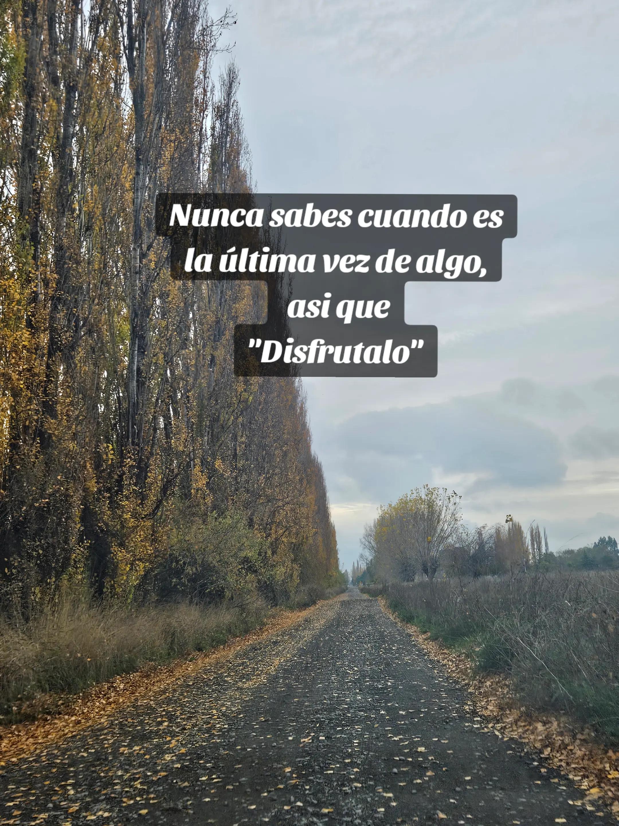 @Sara🔅