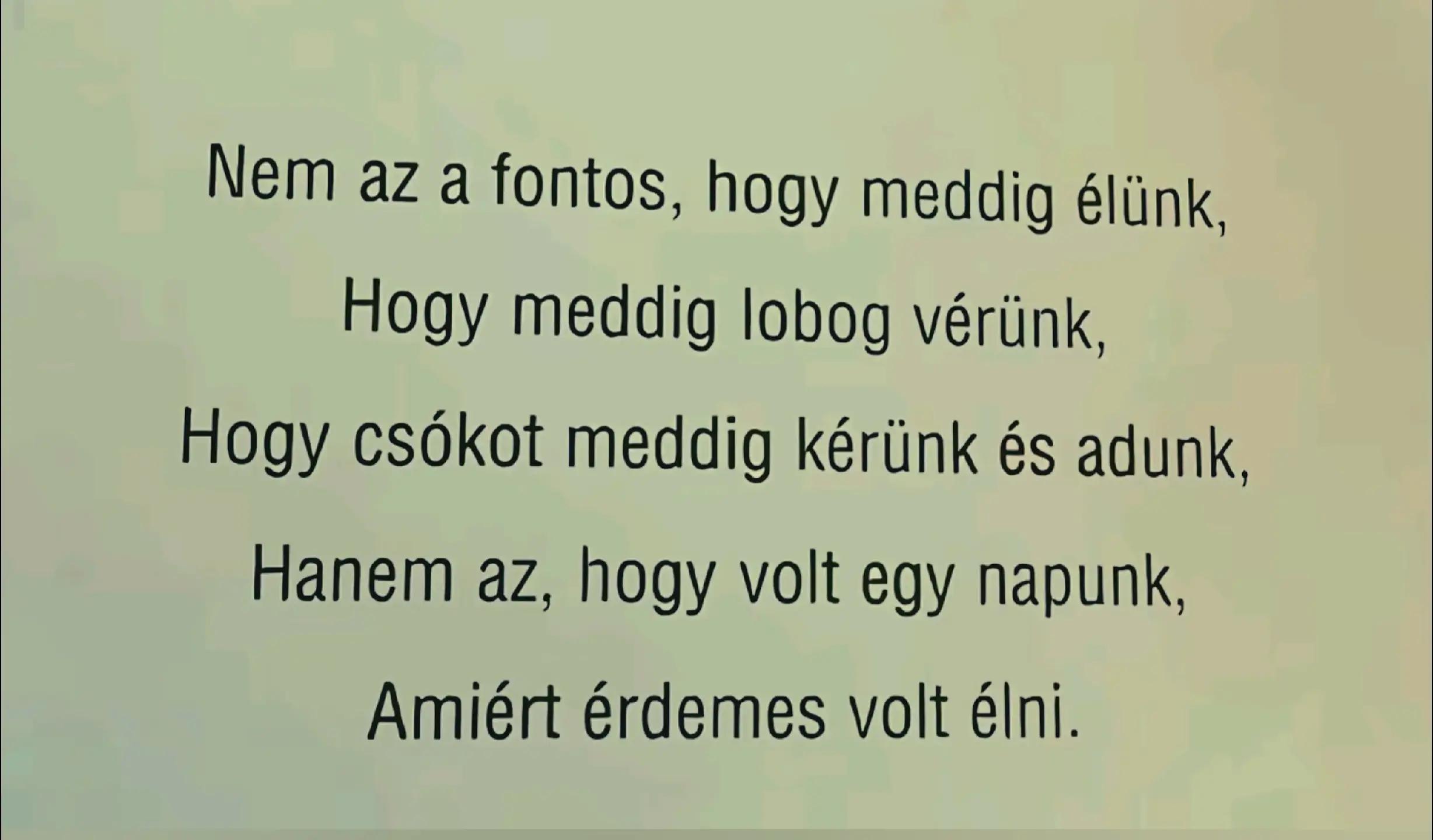 @zoltn.galamb