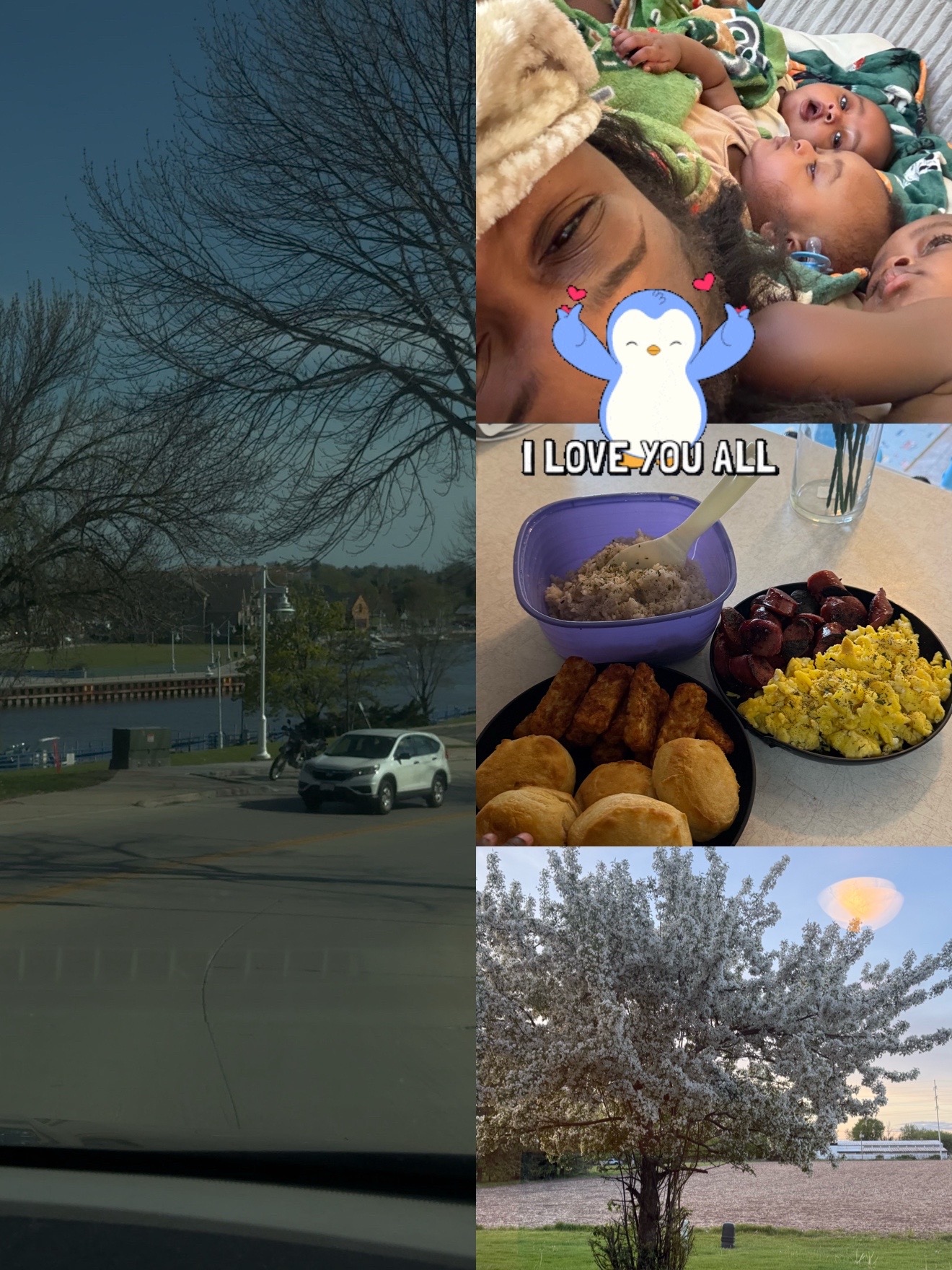 @Prxncess.m 🎀