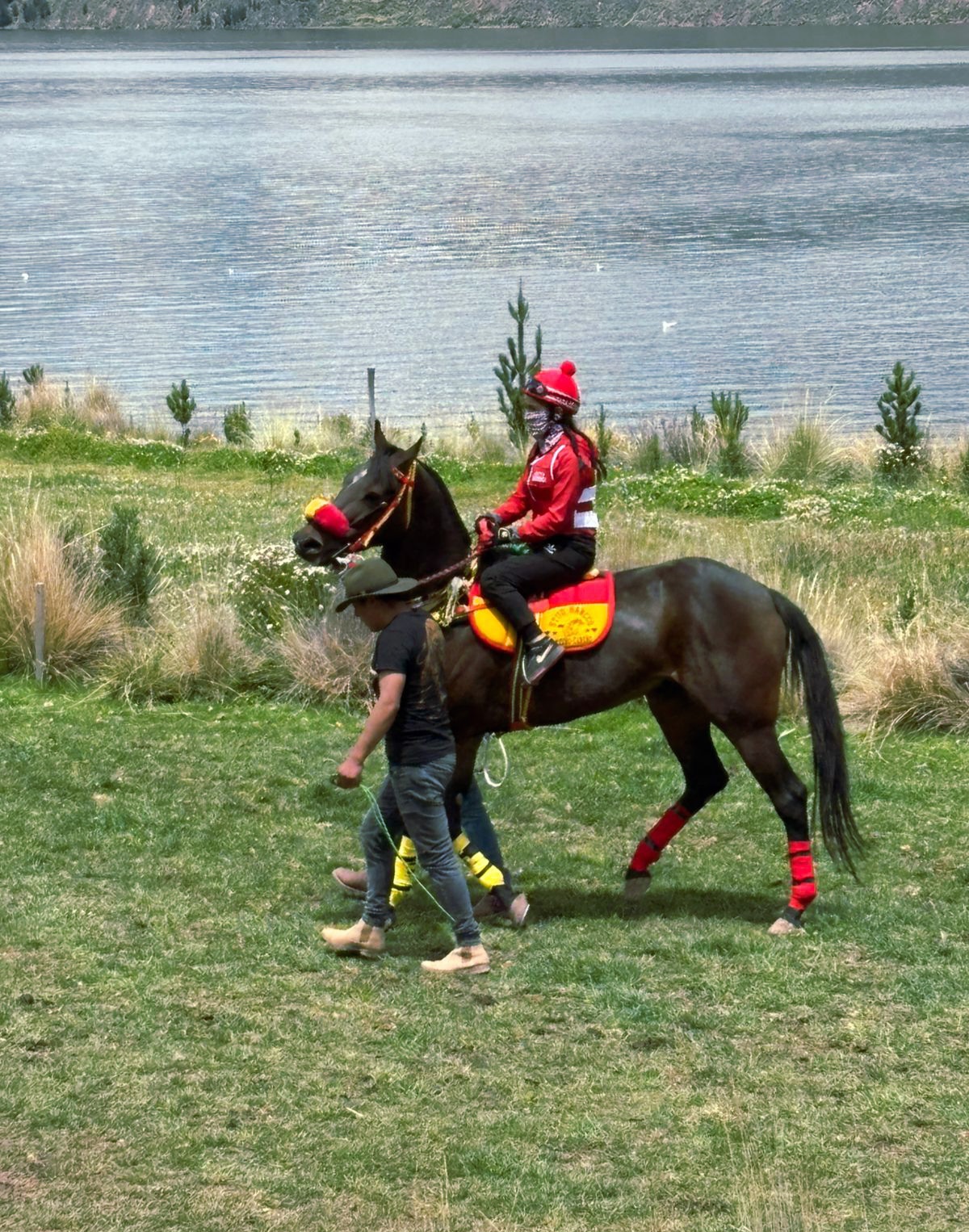 @KatyG&uuml;t&iuml;&euml;rr&euml;z:)&hearts;️🏇