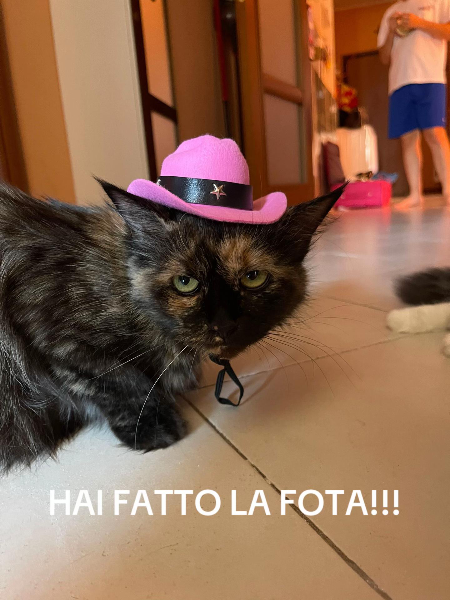 @Gabrieledigrazia1