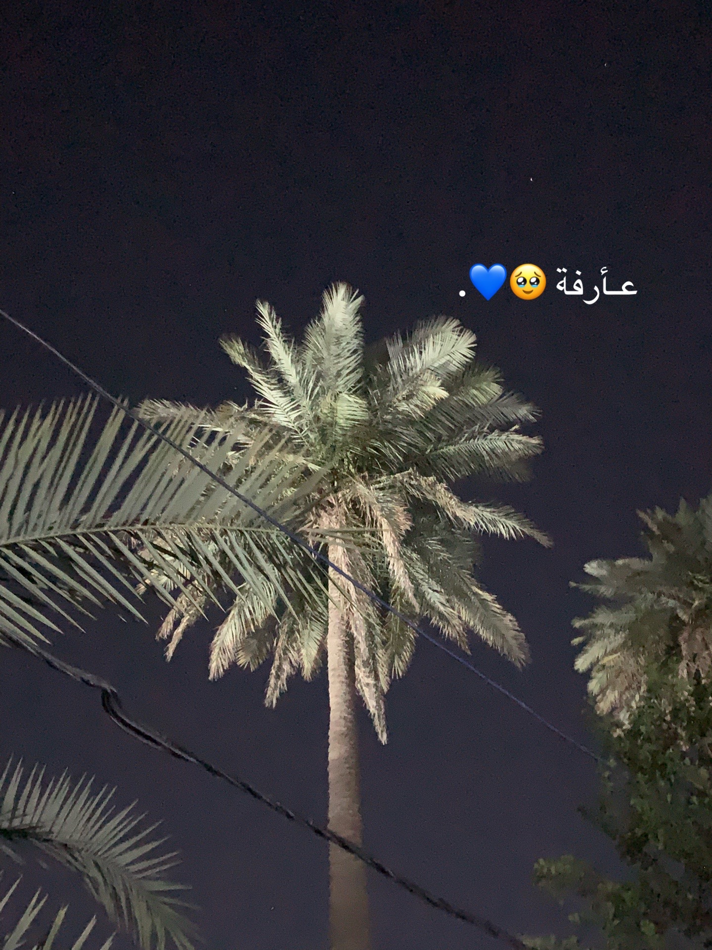@حَـورٰ🦢