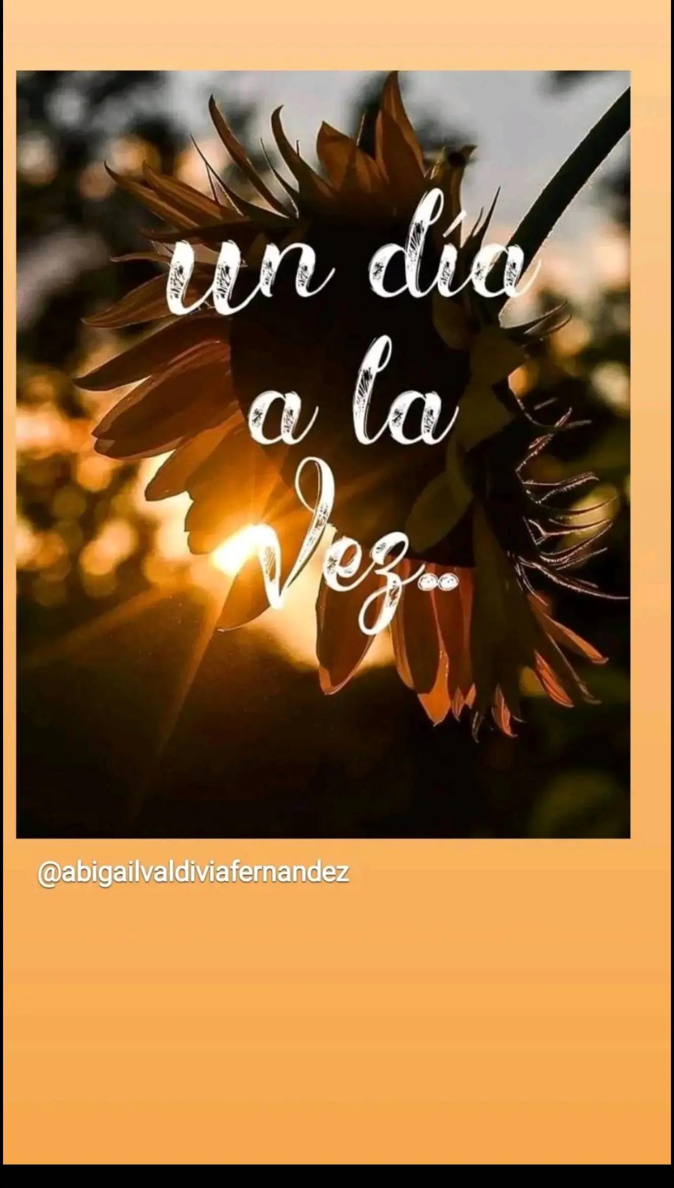 @Gabriela Godoy75