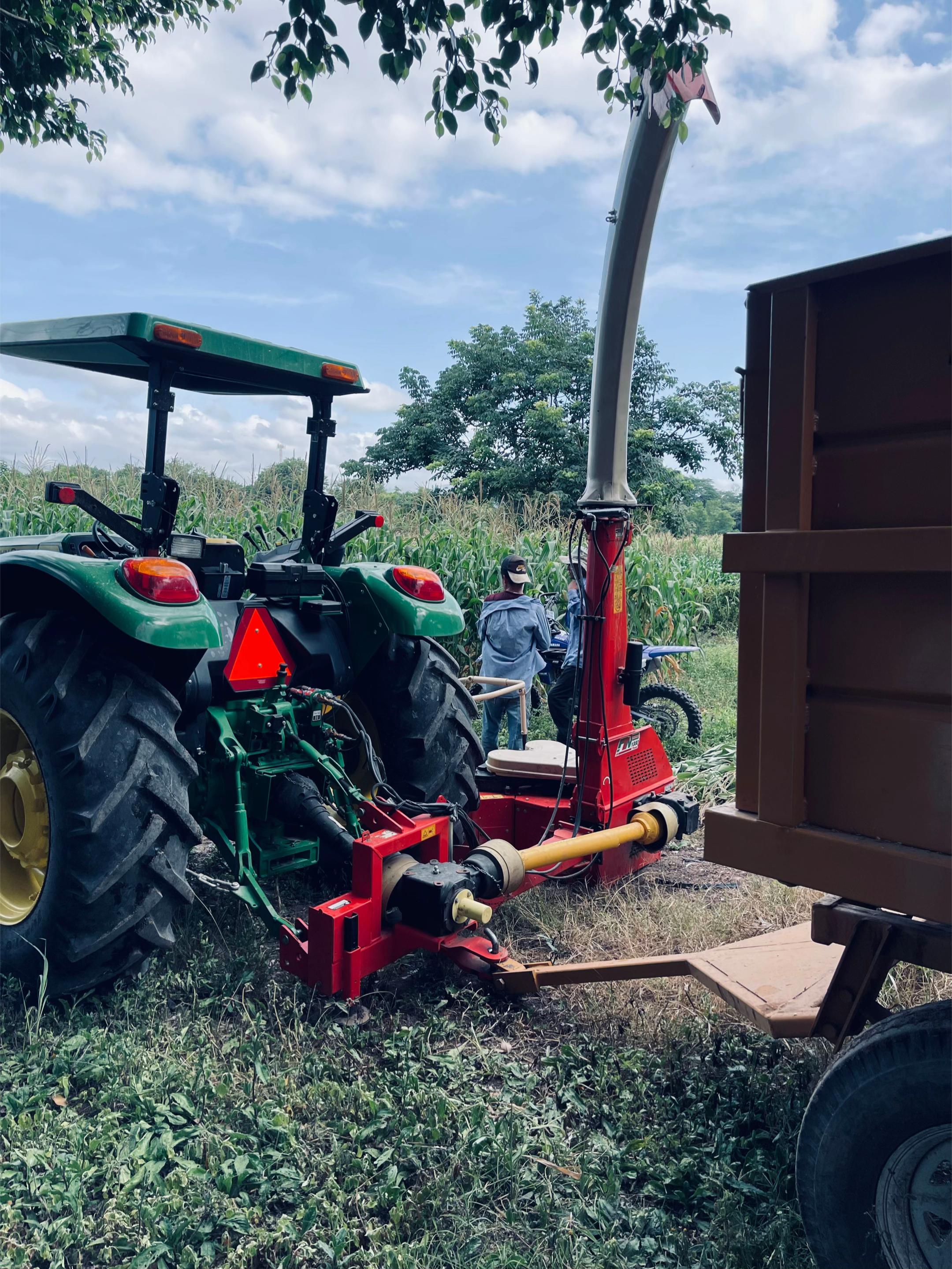 @JGalindo🐰