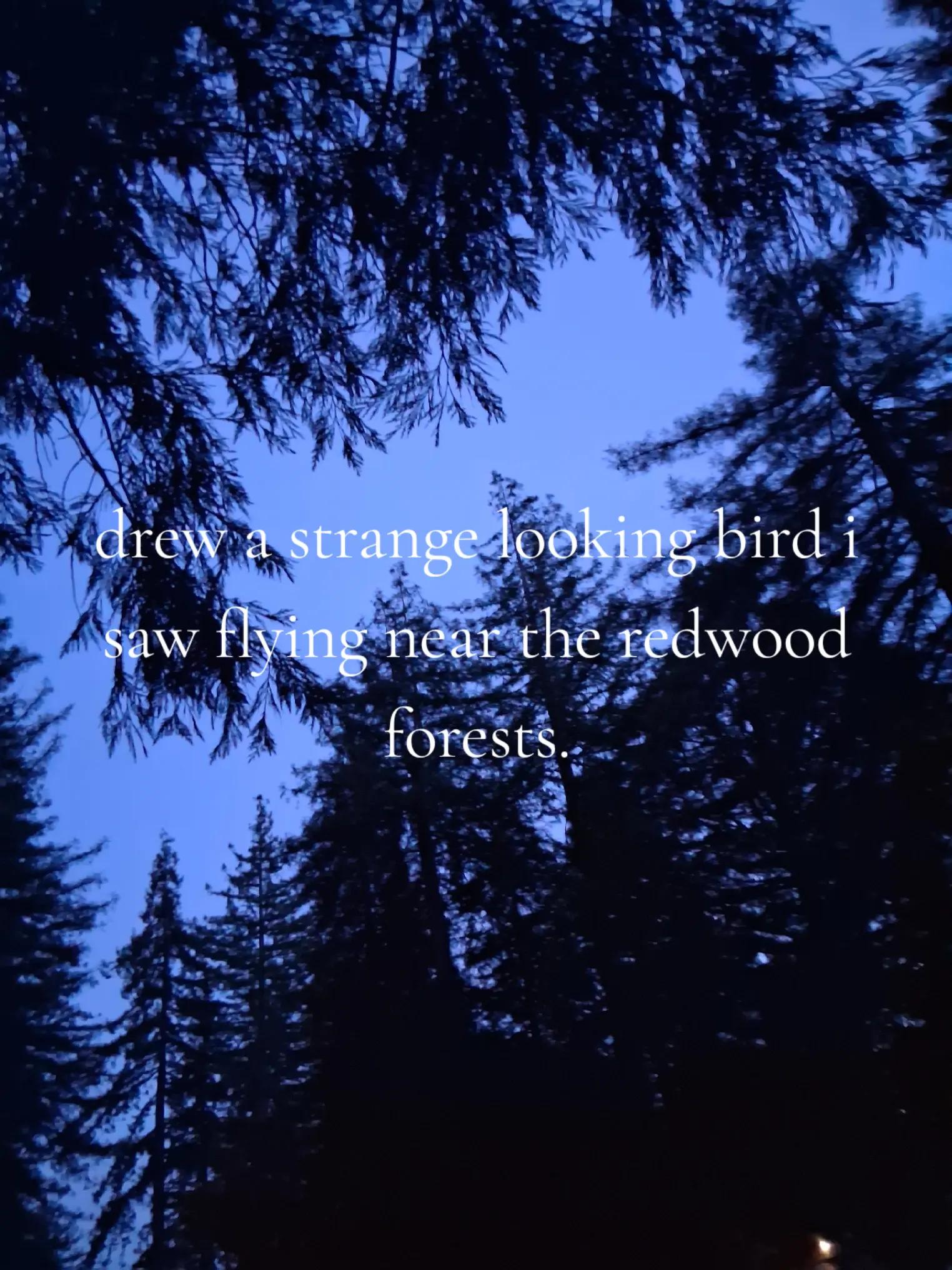 @[SCHIZOPHRENIC-TELEVISION]