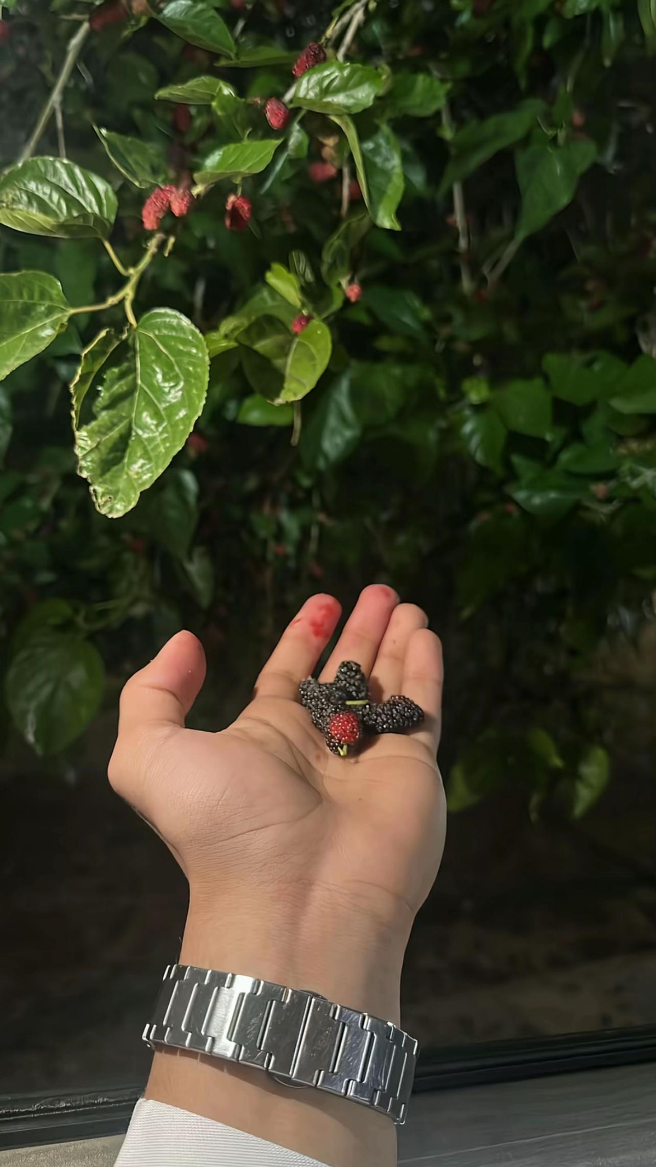 @﮼عبدالرحمن ديسمبر🤍♕