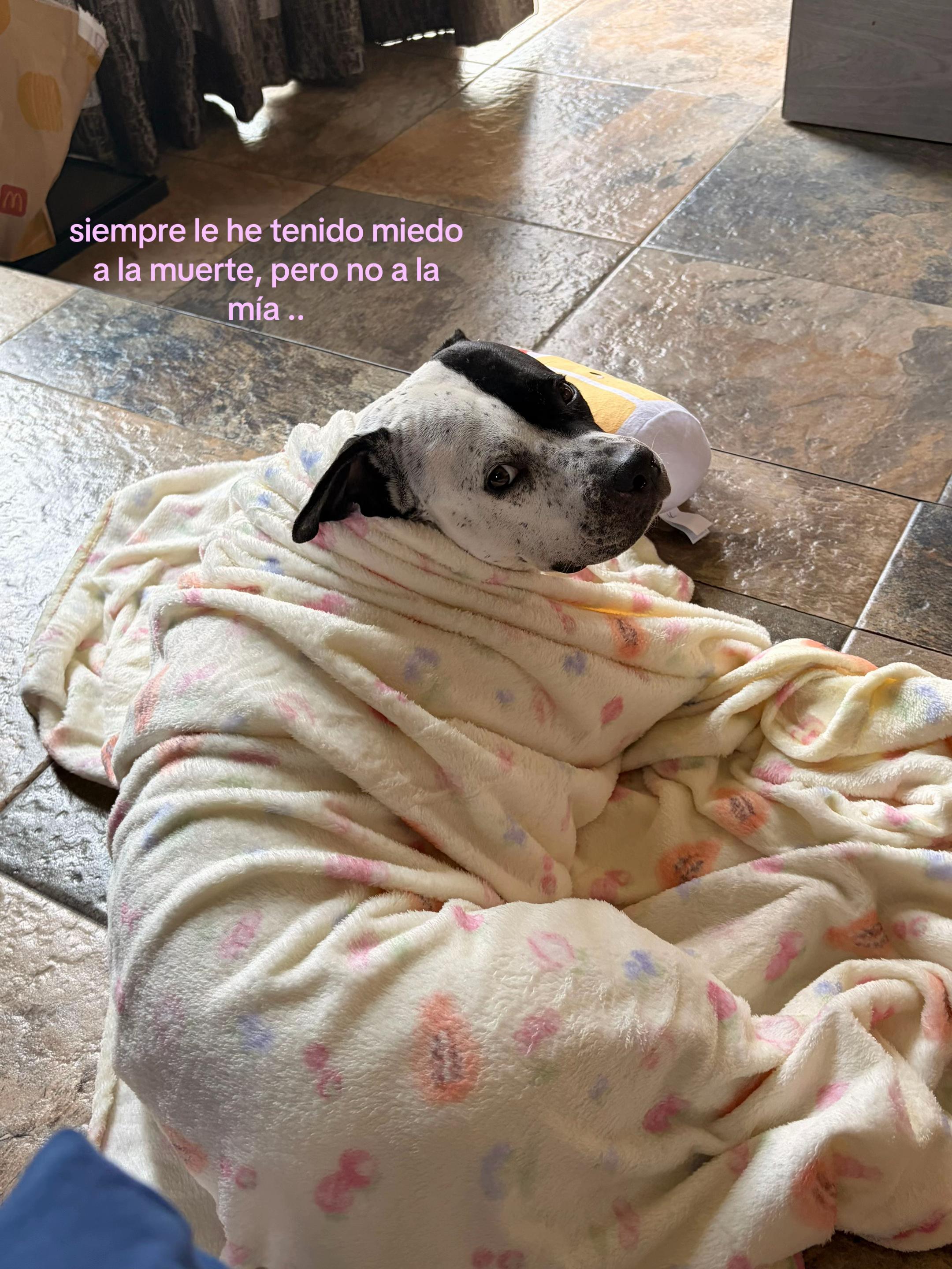 @Eveee