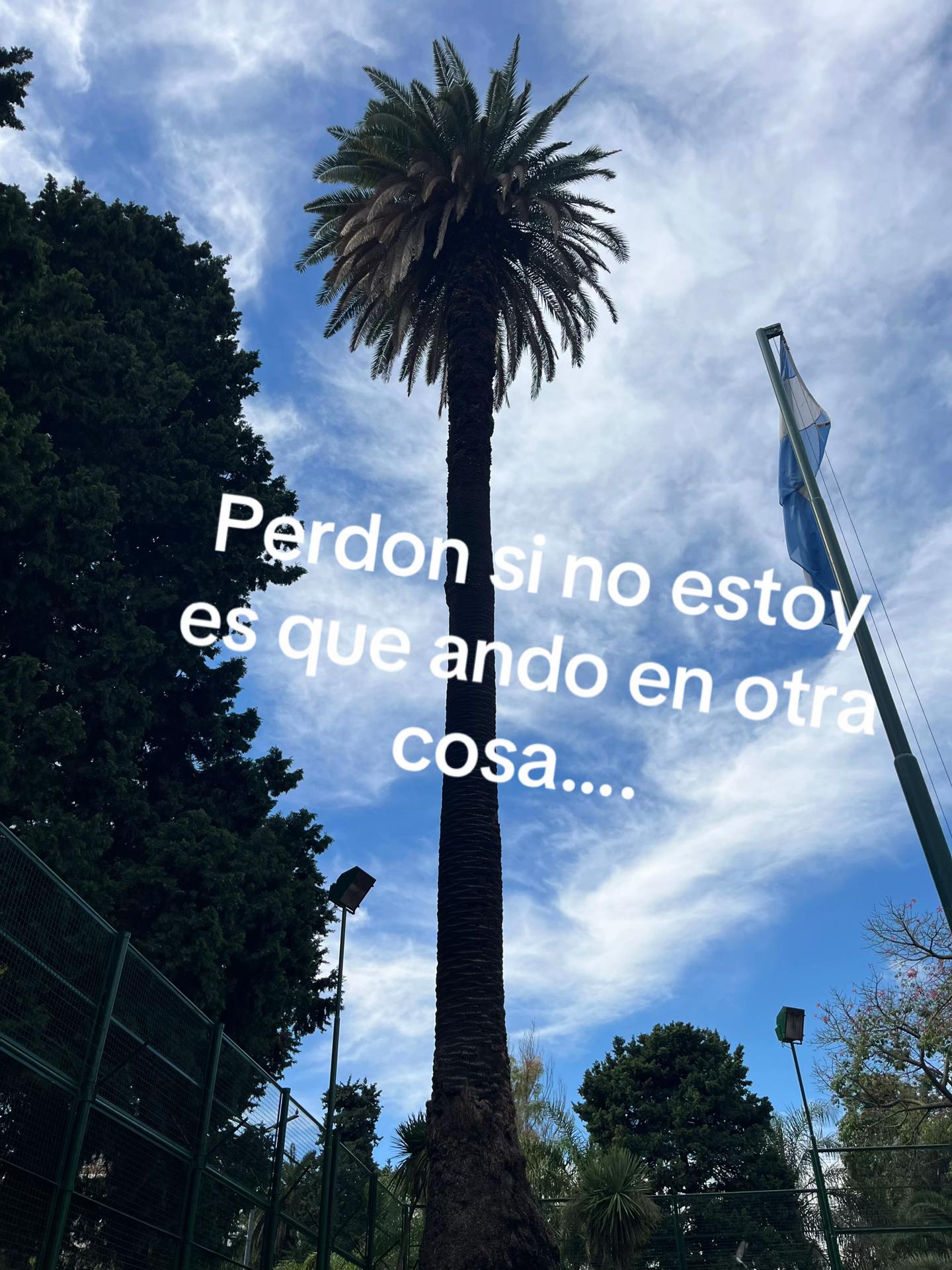 @indi pero mas 🆒