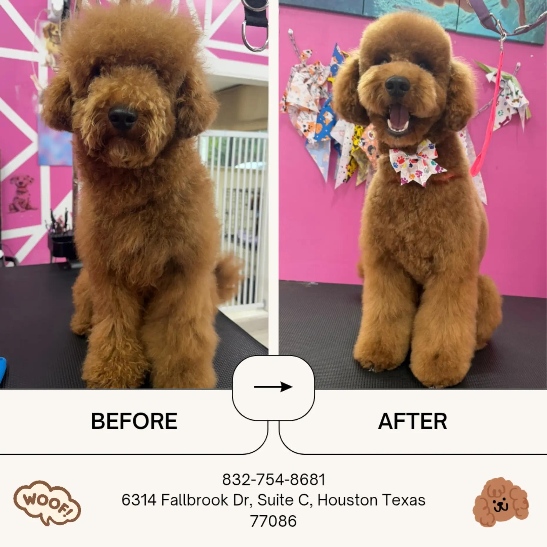 @bubulabapetgrooming