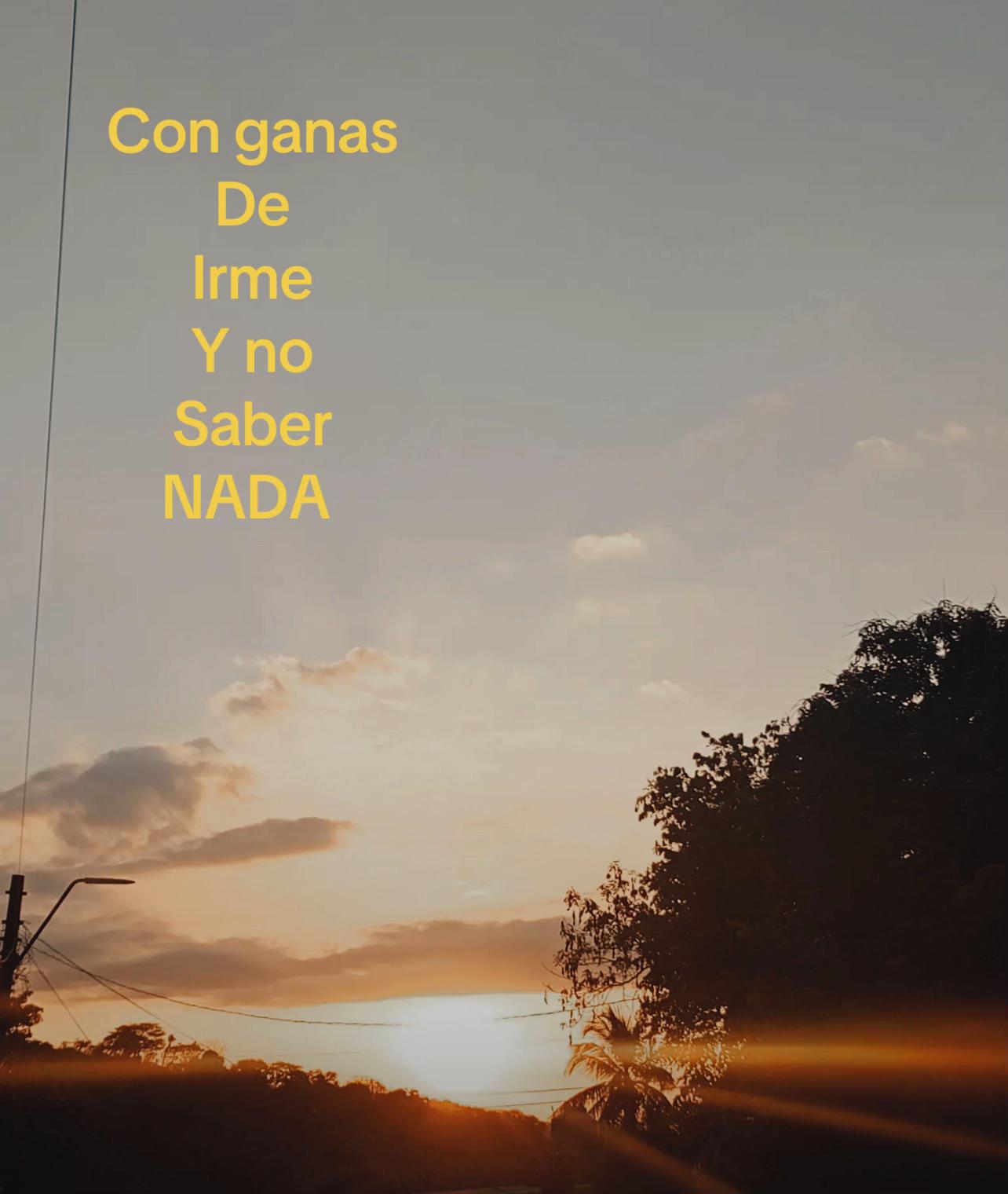 @nadiss1234OFICIAL