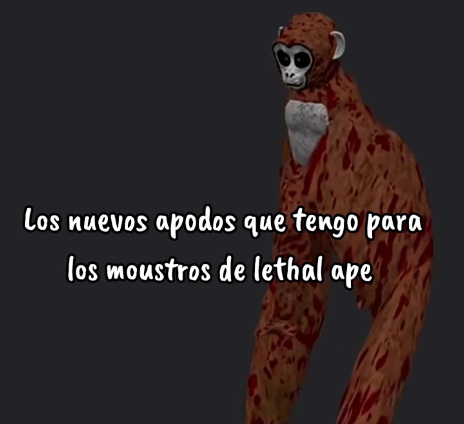 @TocinitoPlus