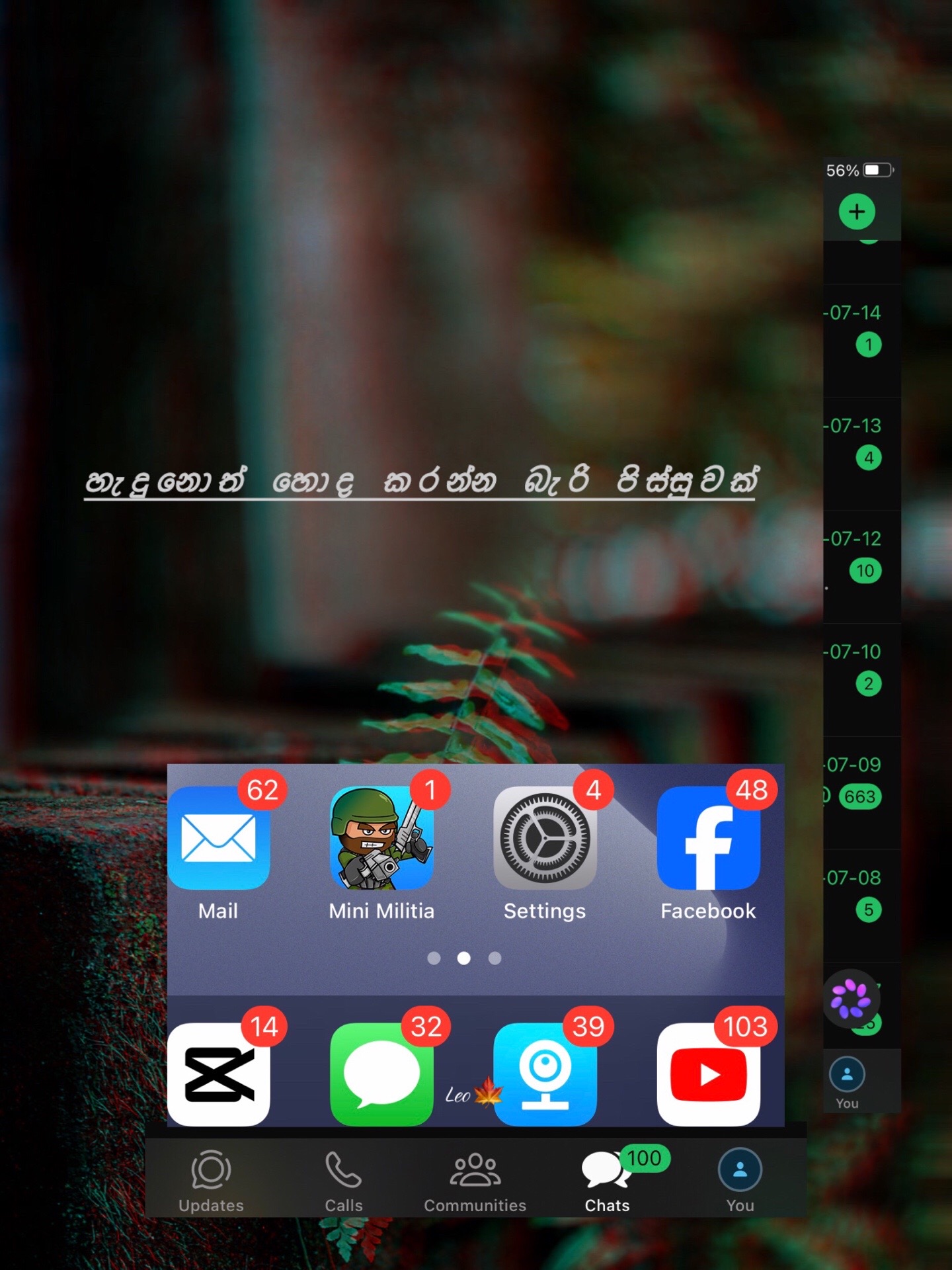 @leo.u09