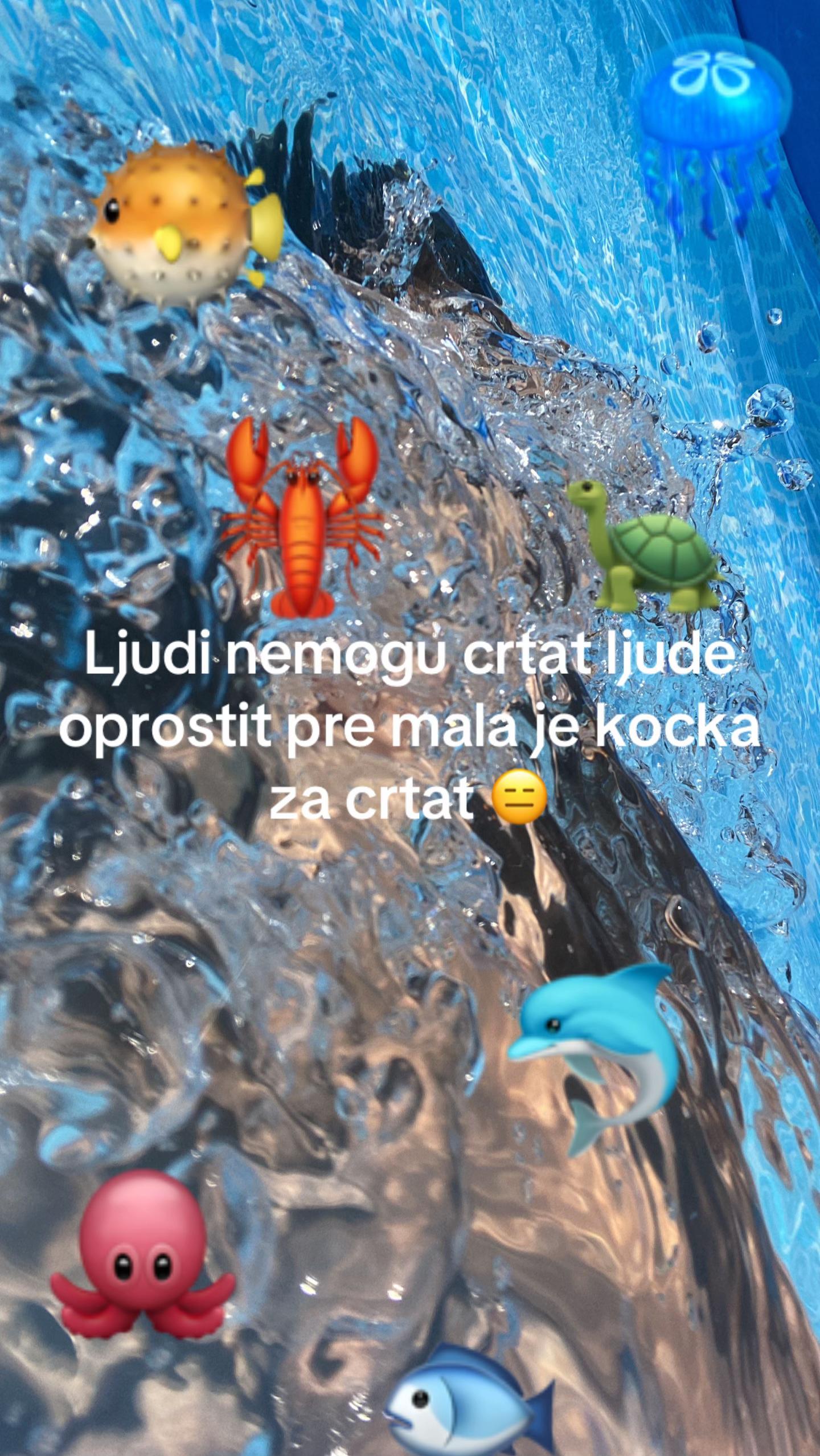 @🐚