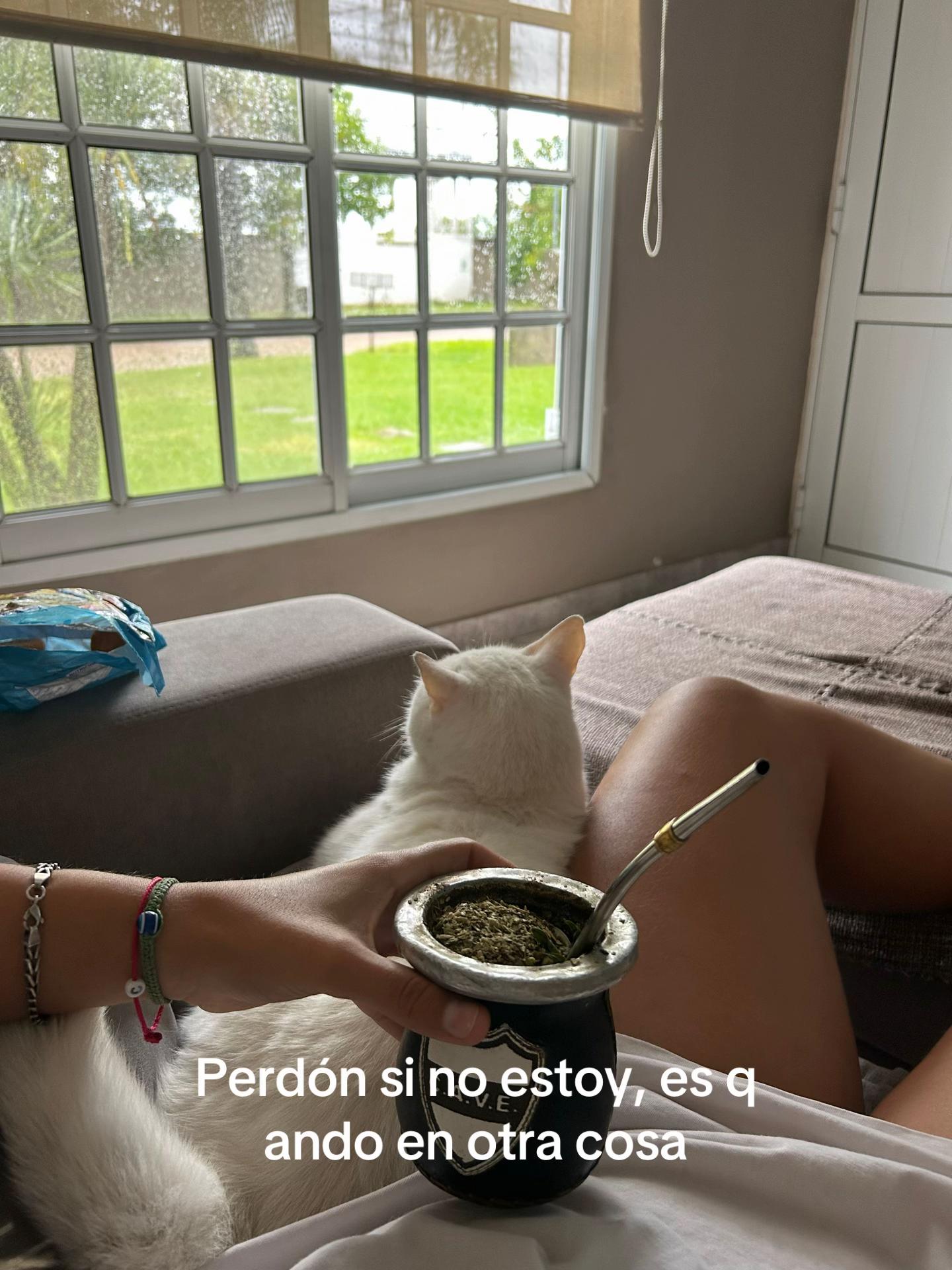 @candela