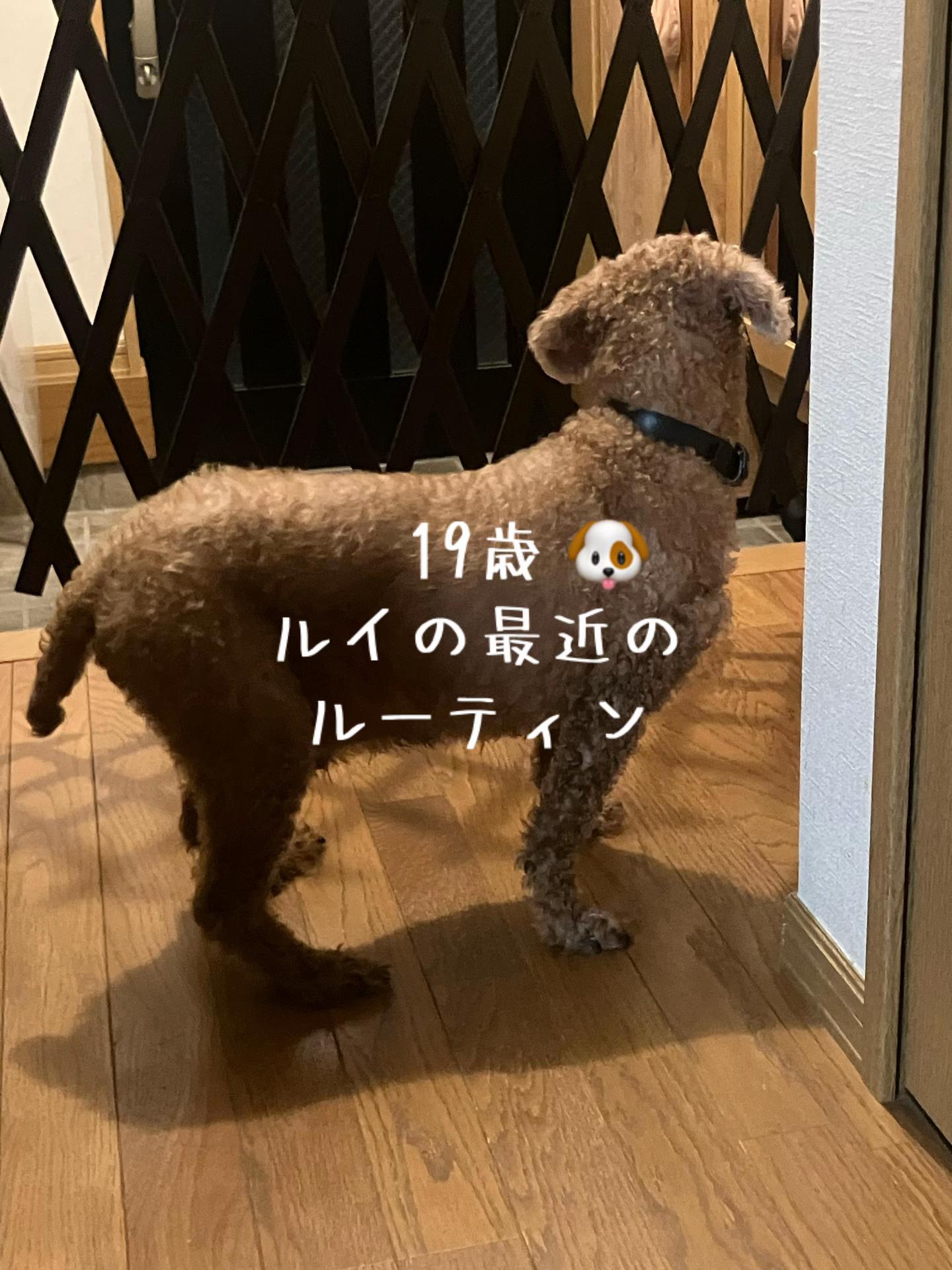 @ルイママ