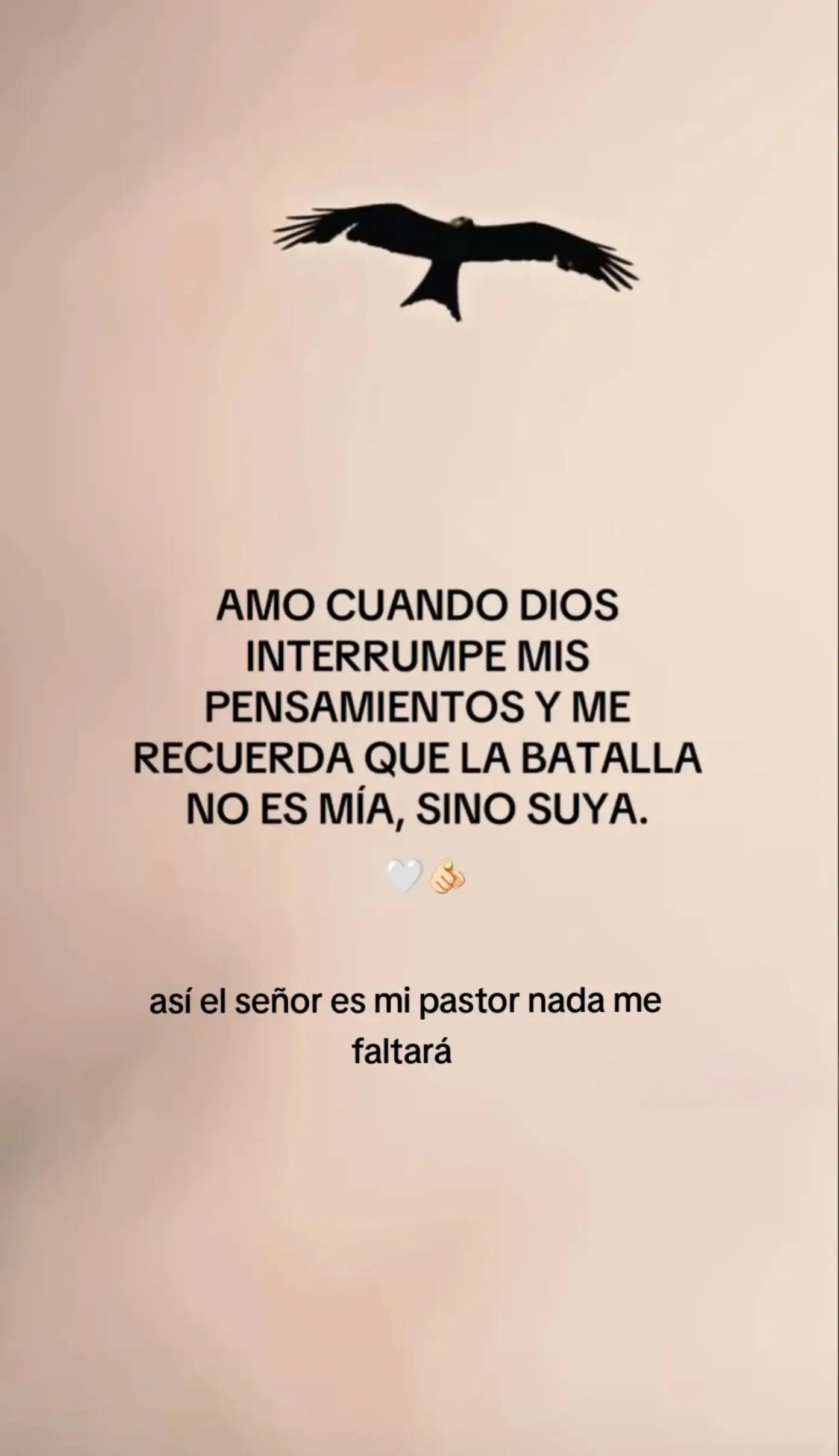 @Dariana 502🇬🇹