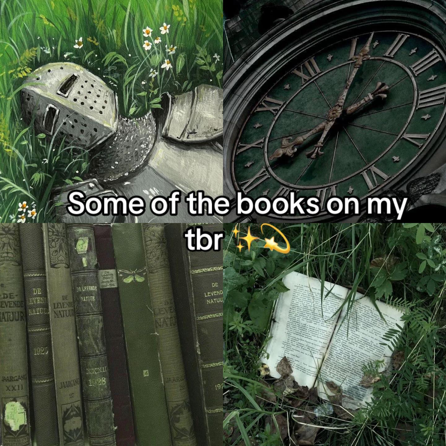 @Vilderne 📚
