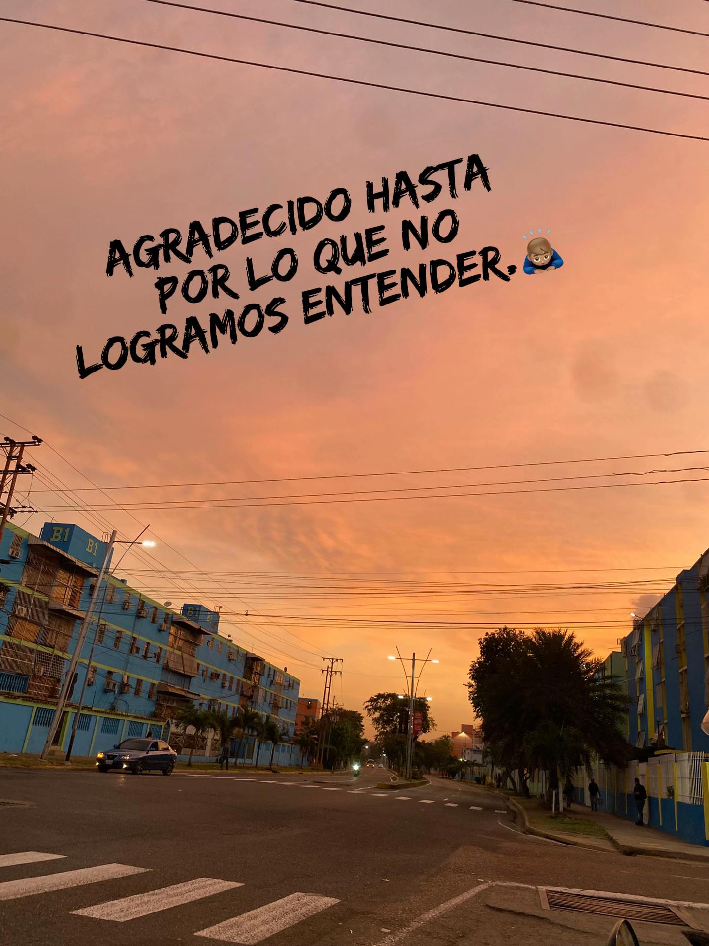 @roncatusalsa