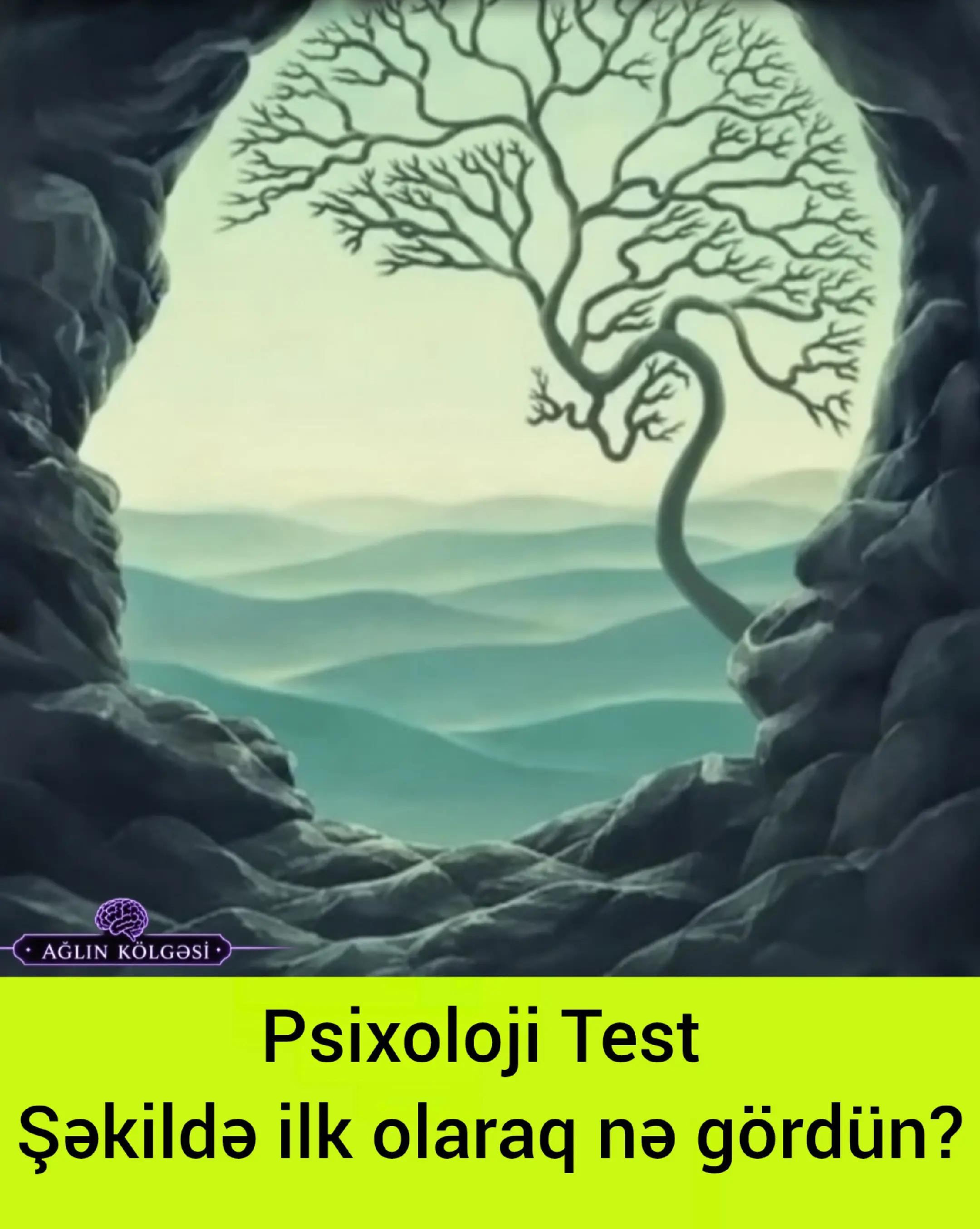 @Ağlın K&ouml;lgəsi