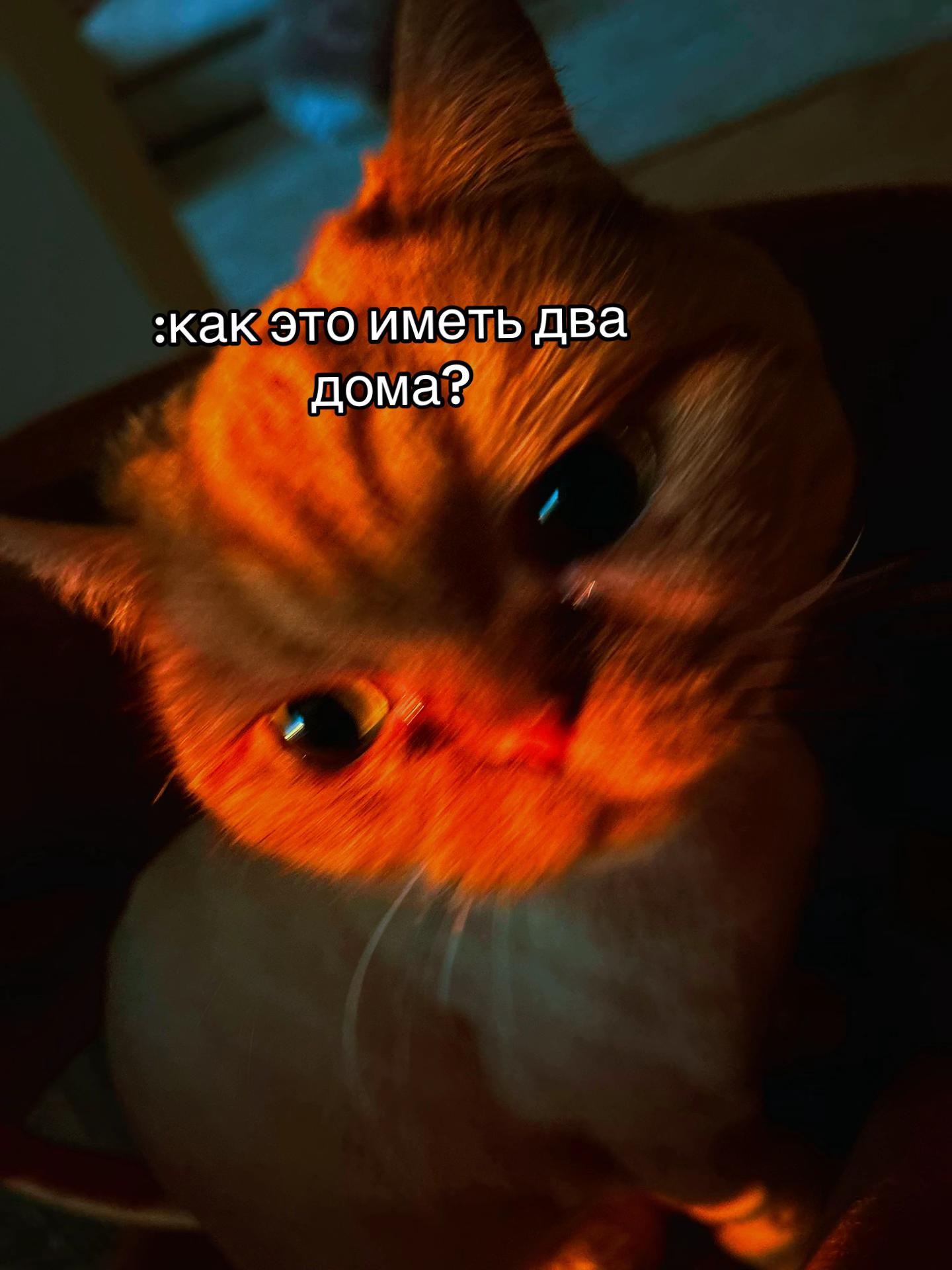 @браiн