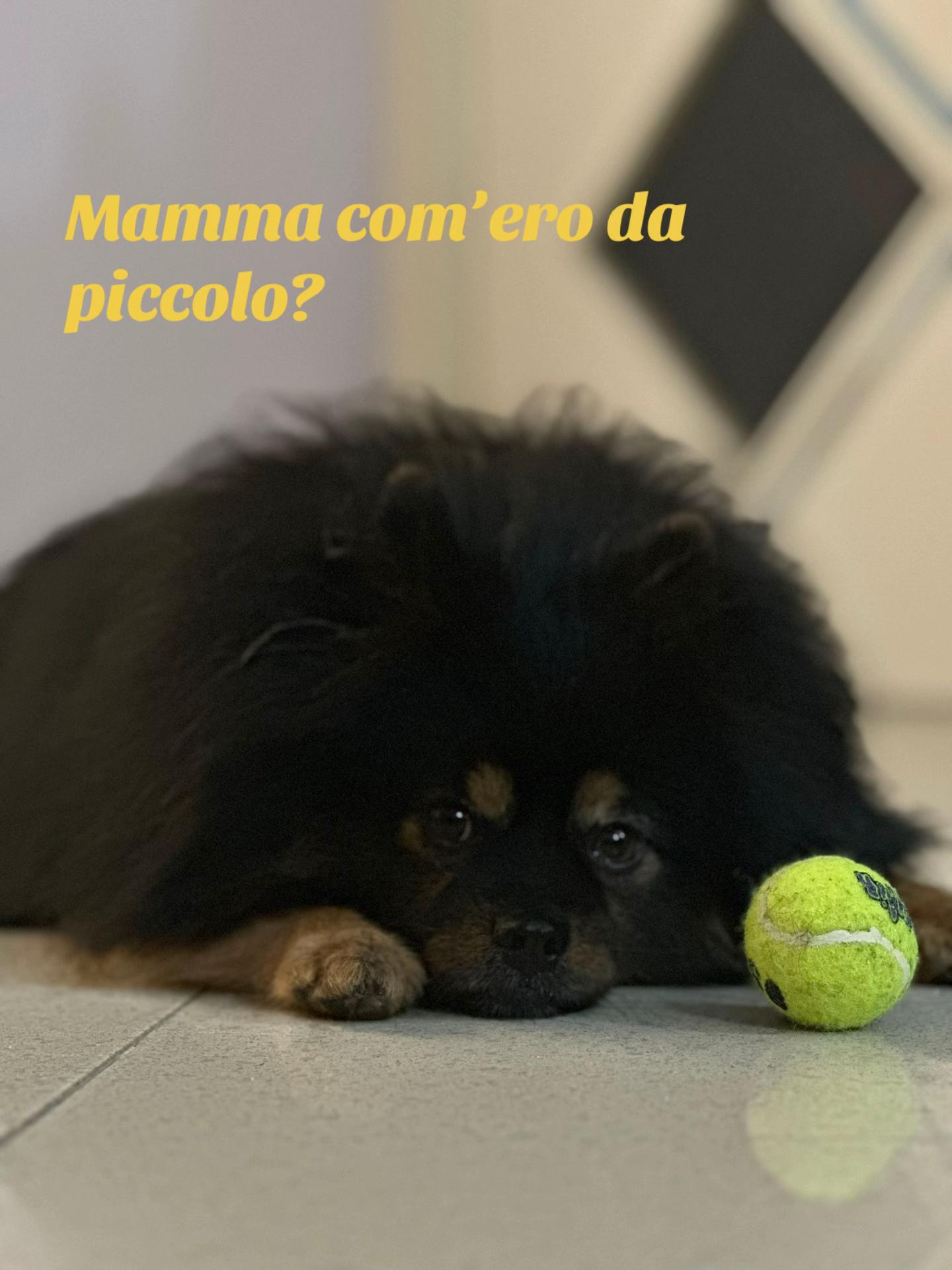 @Brigida Luciano