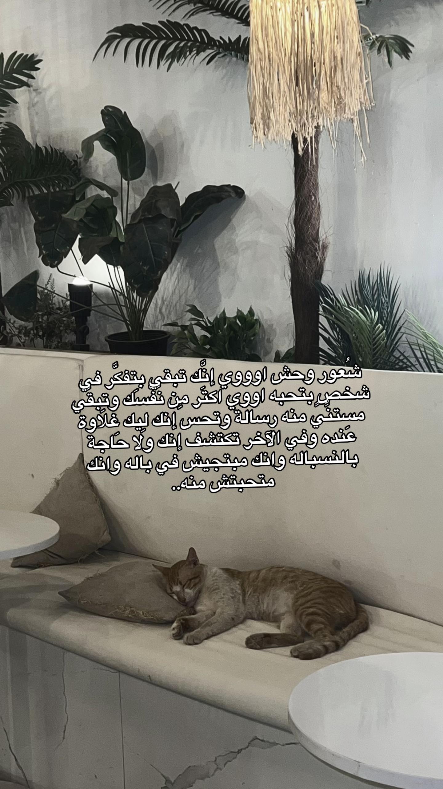 @﮼مؤمنه ﮼سمير 🦦