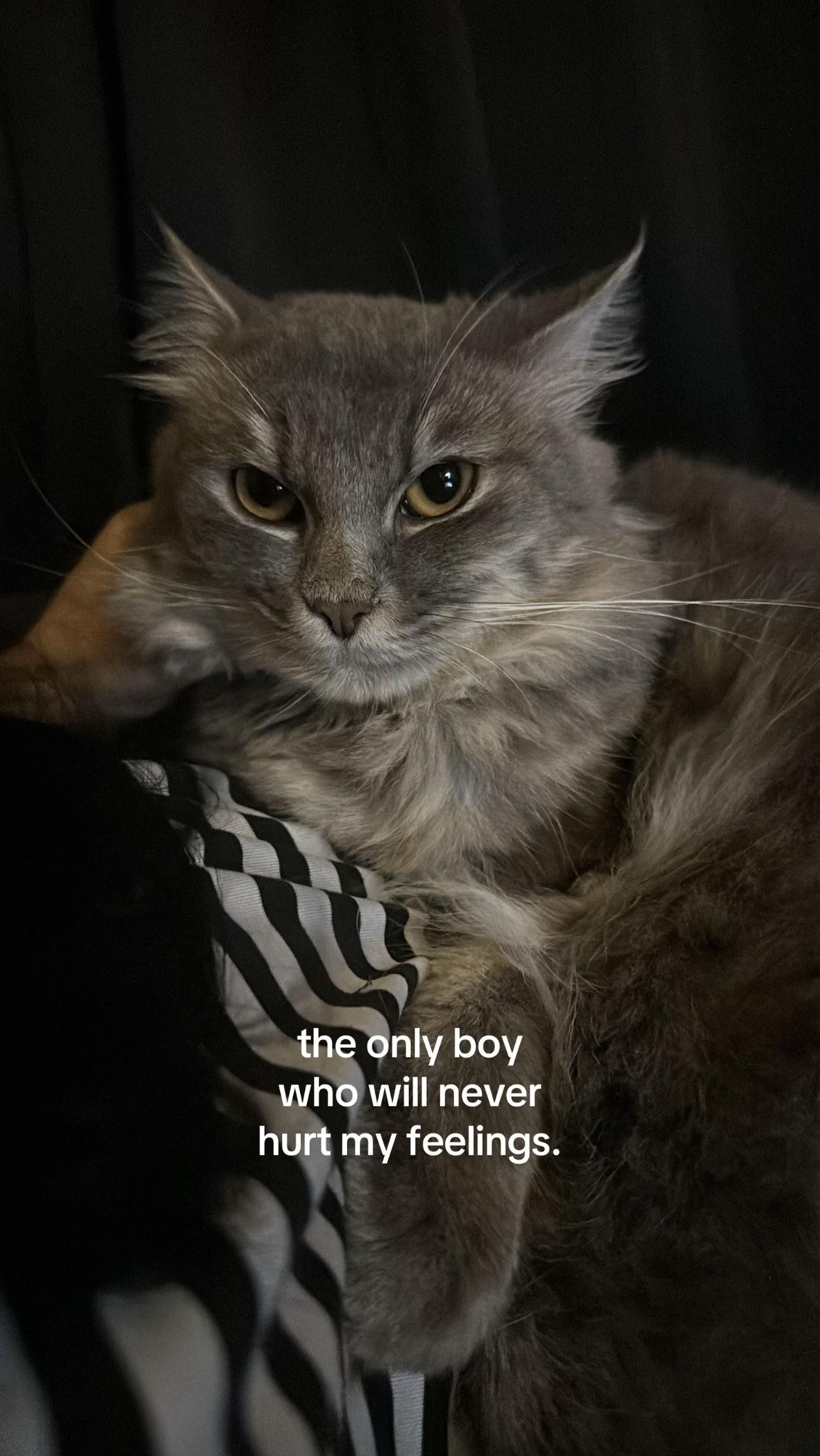 @⋆˚࿔ 𝐜𝐨𝐜𝐨 𝜗𝜚˚⋆