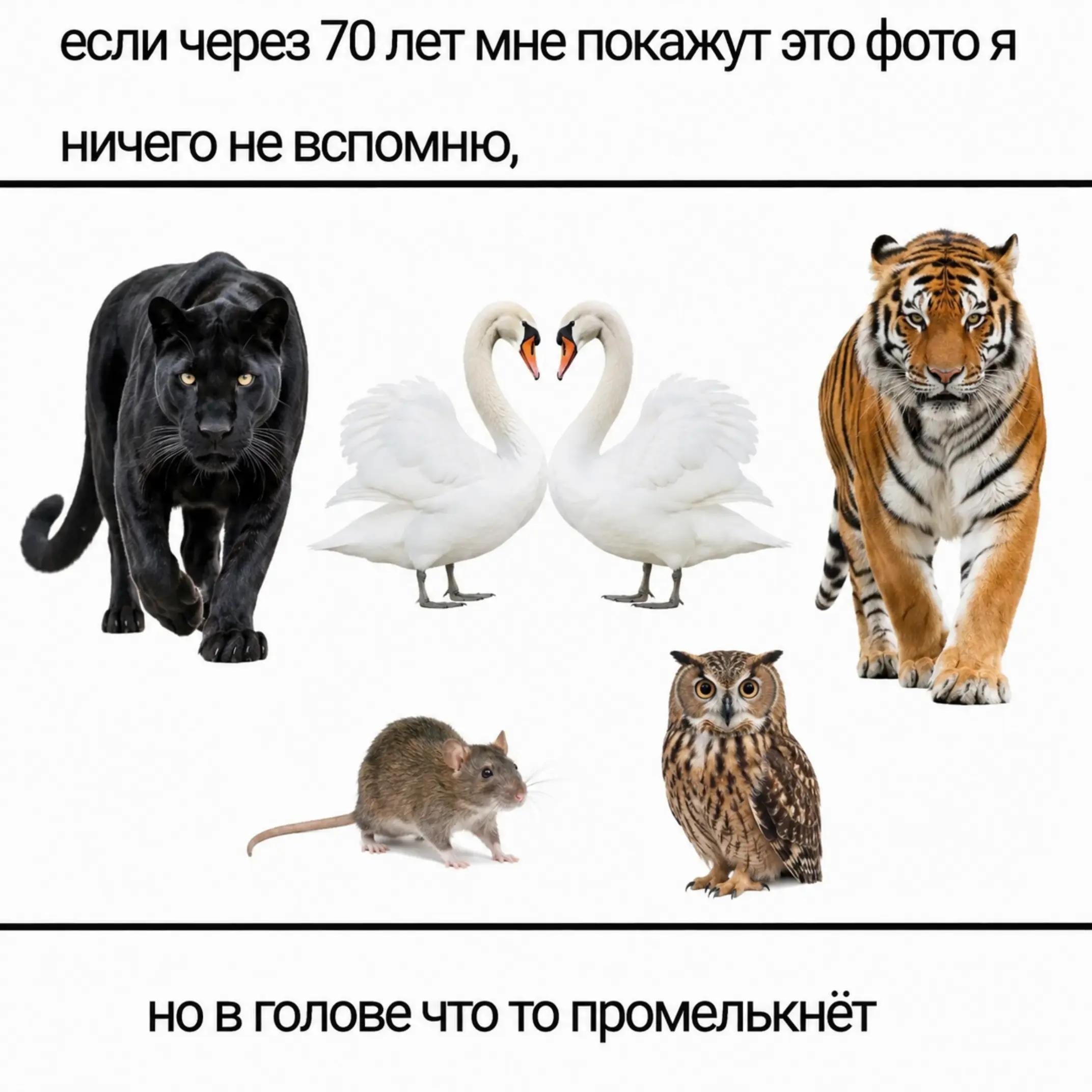 @4urka