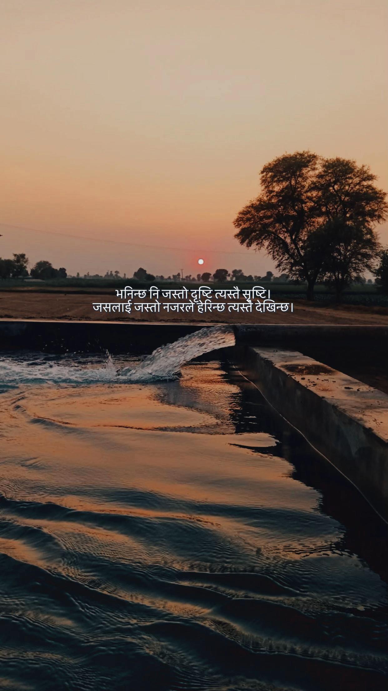 @mankakura