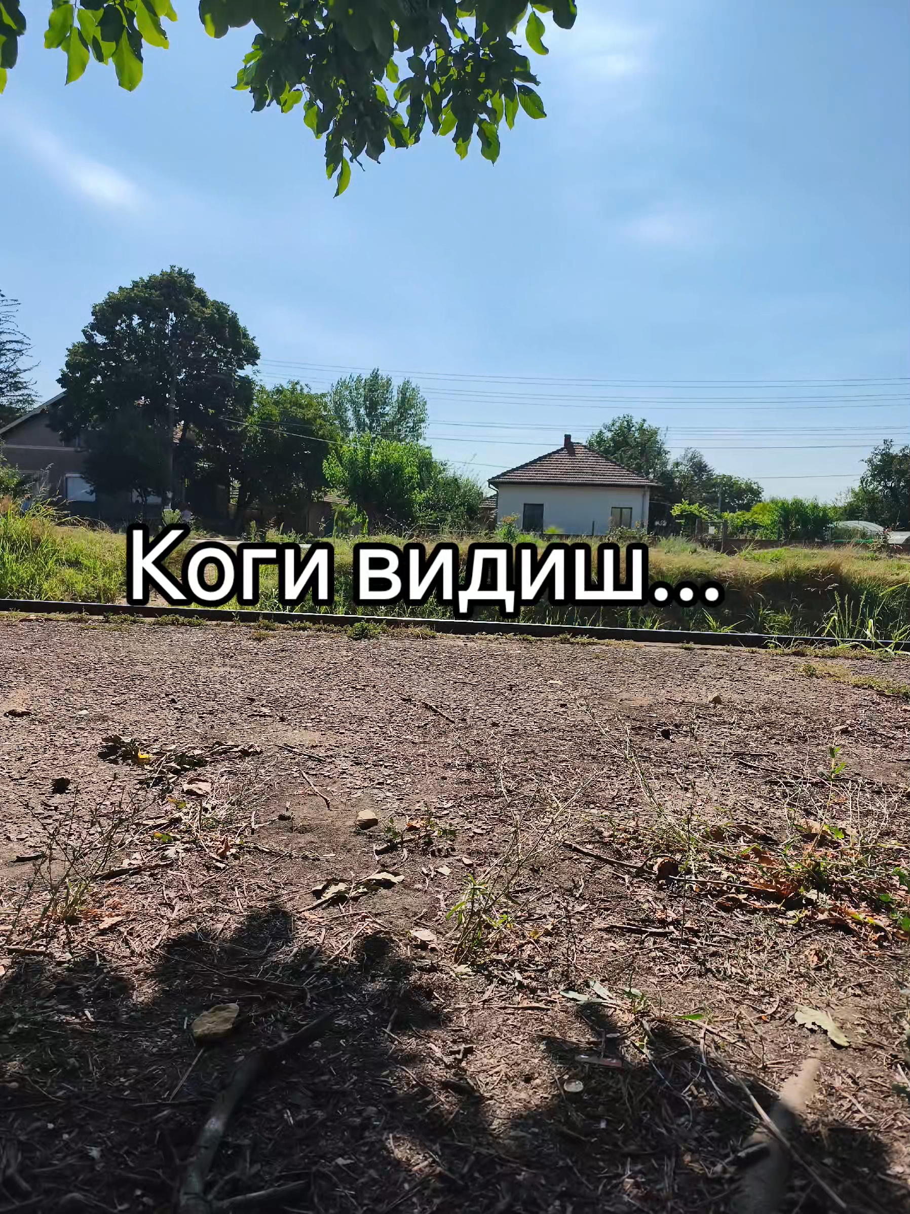 @💥Georgiev_07💥