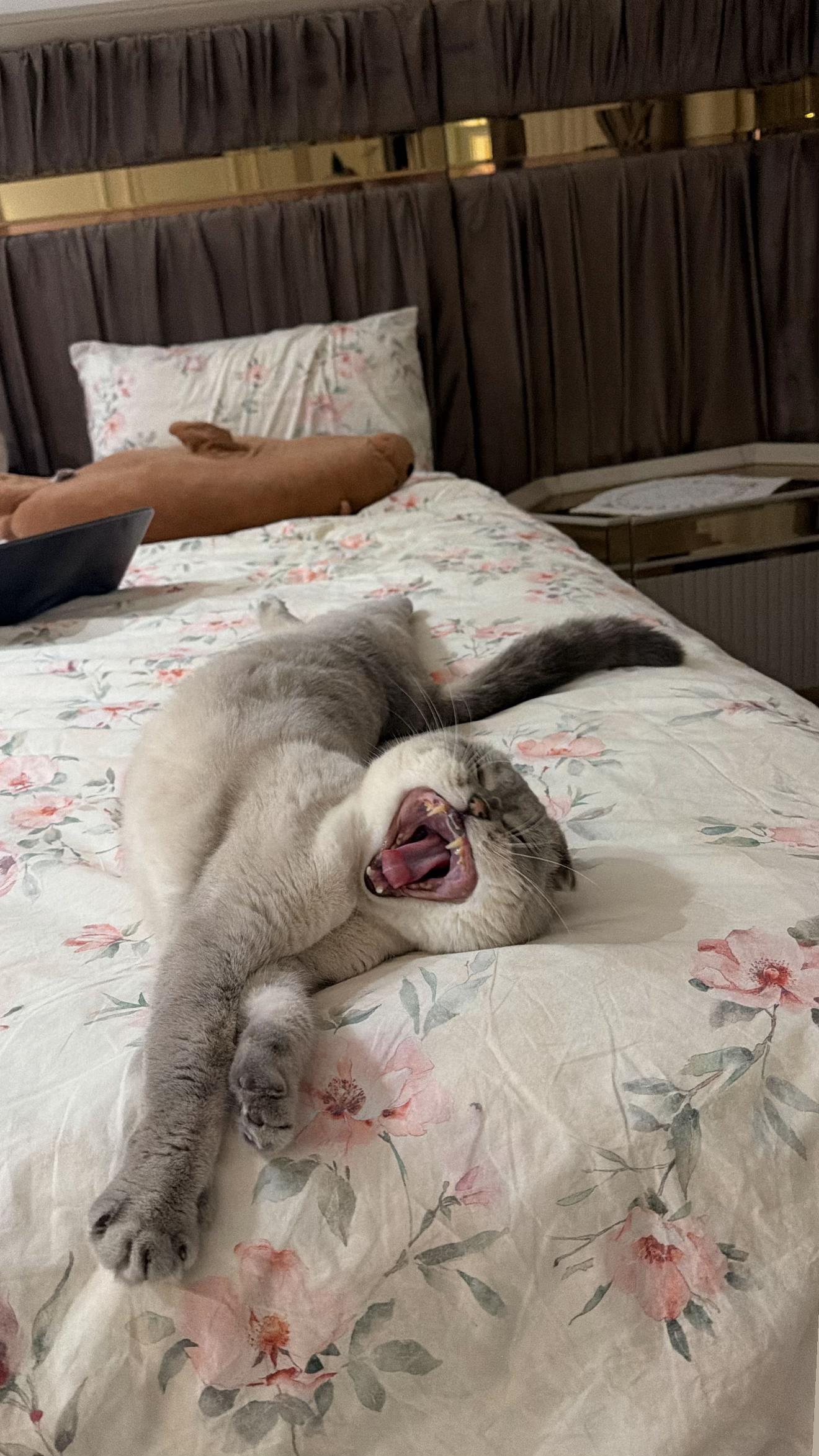 @ÇAKIR