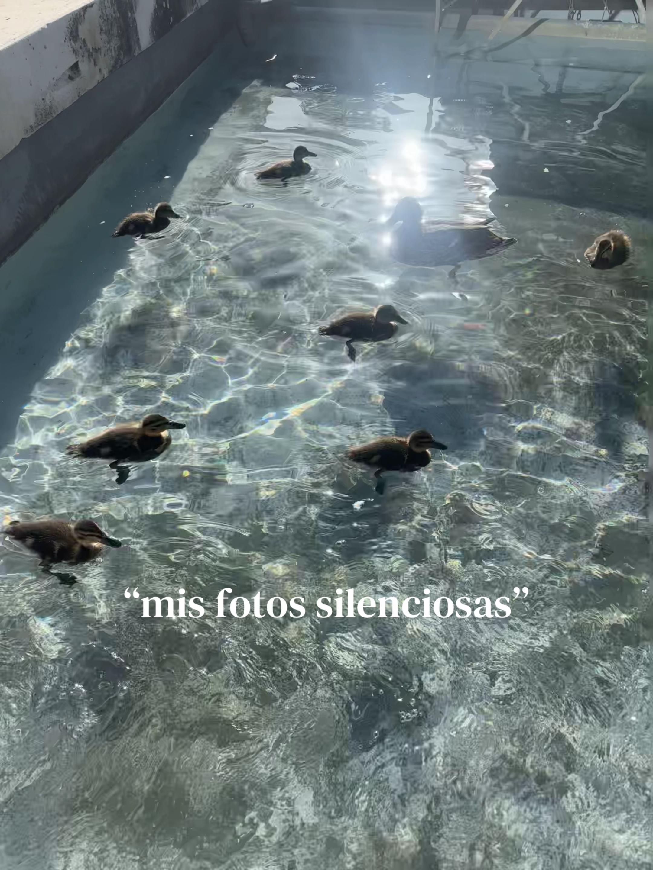 @Cami Silva