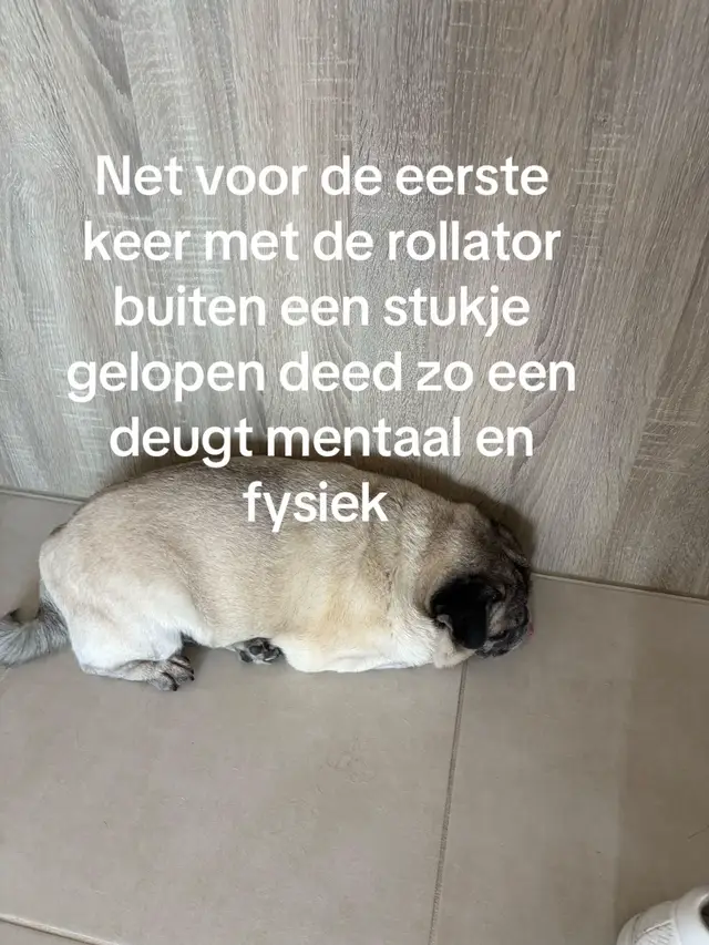 @Gewoon Debbie