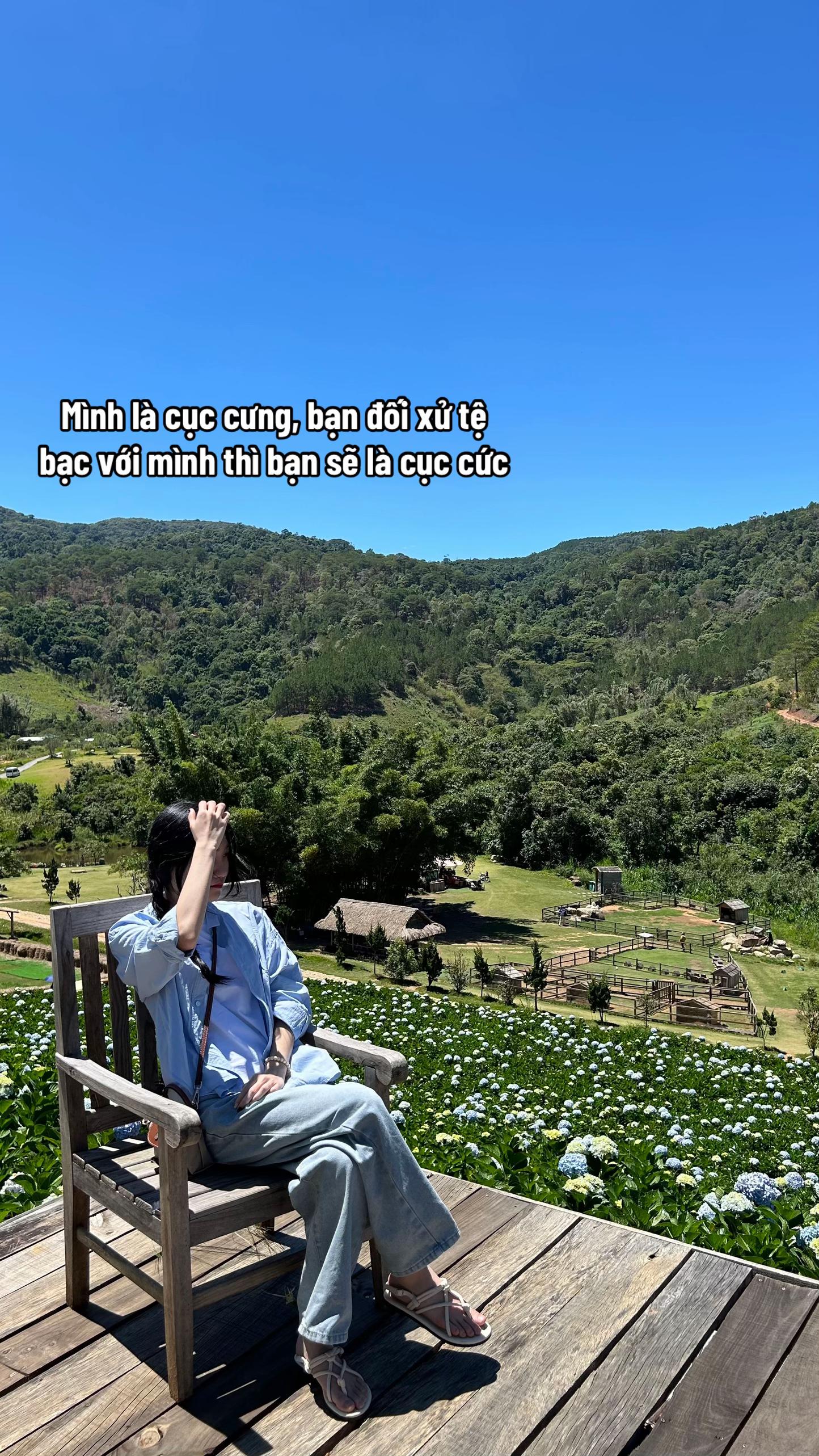 @Vootree🌱