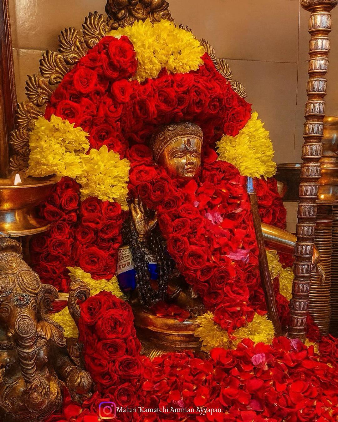 @Maluri Kamachi Amman Ayyapan