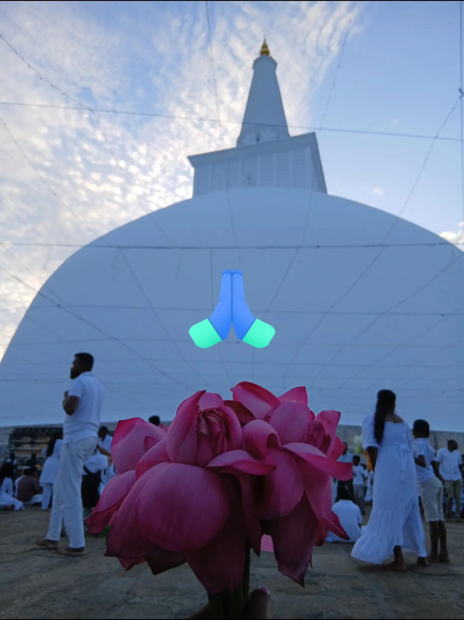 @🥀Dil🪷🇱🇰🇦🇪⚘️