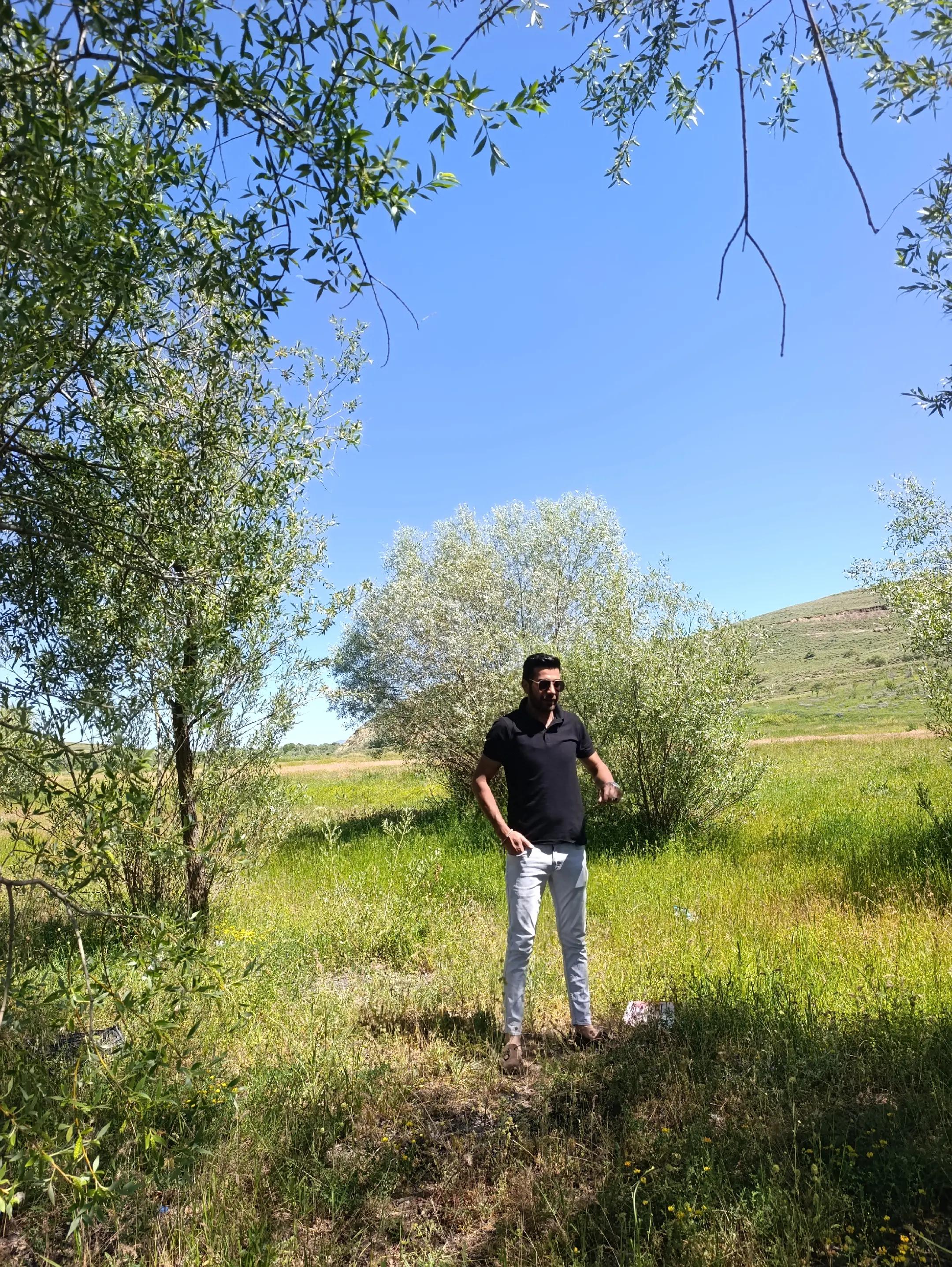 @BuLut Bey