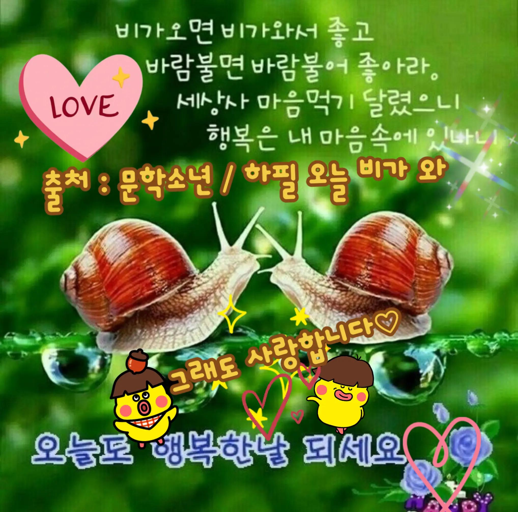@🇰🇷💙청하🙏하게💙🇰🇷