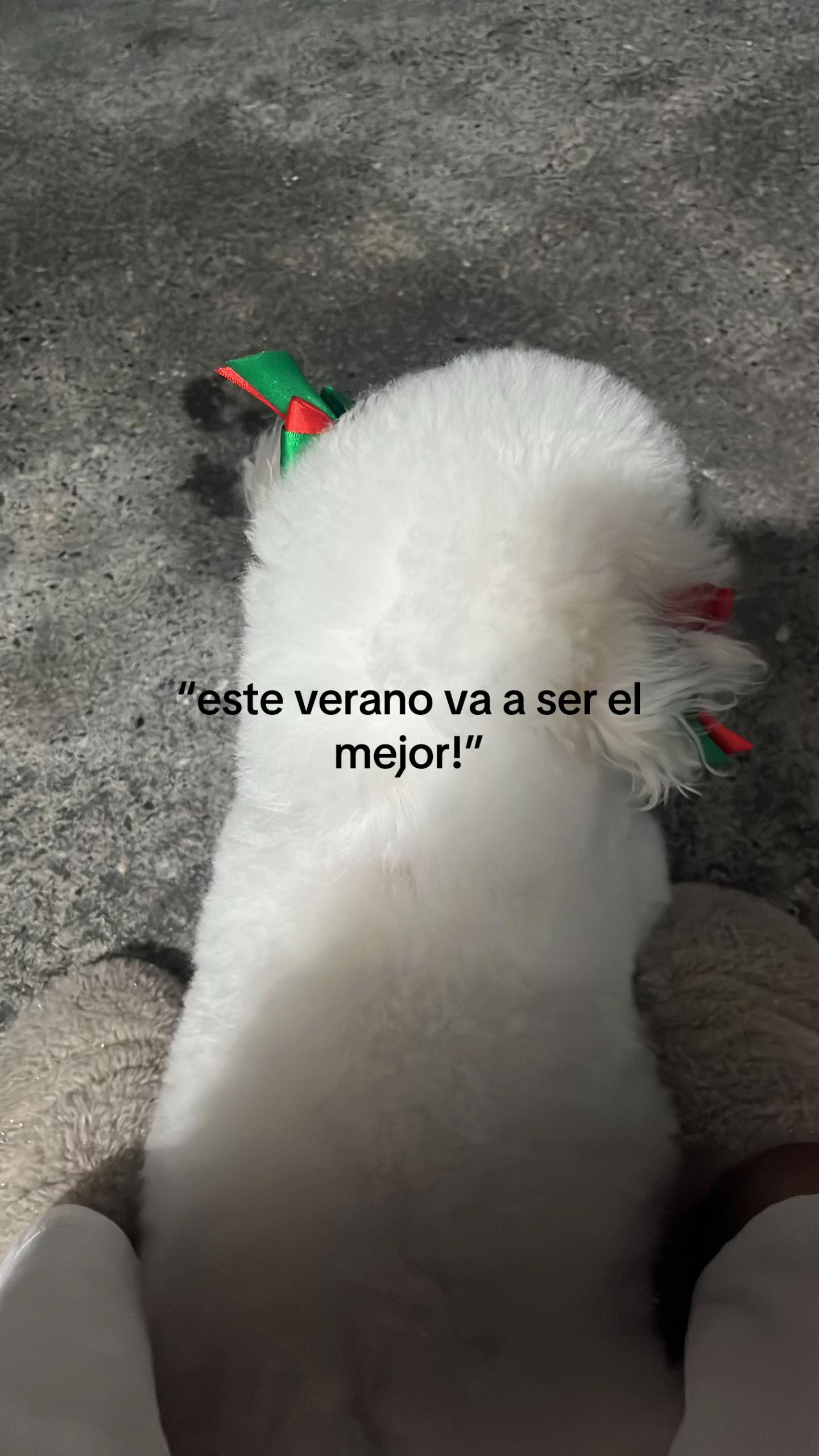 @mimi
