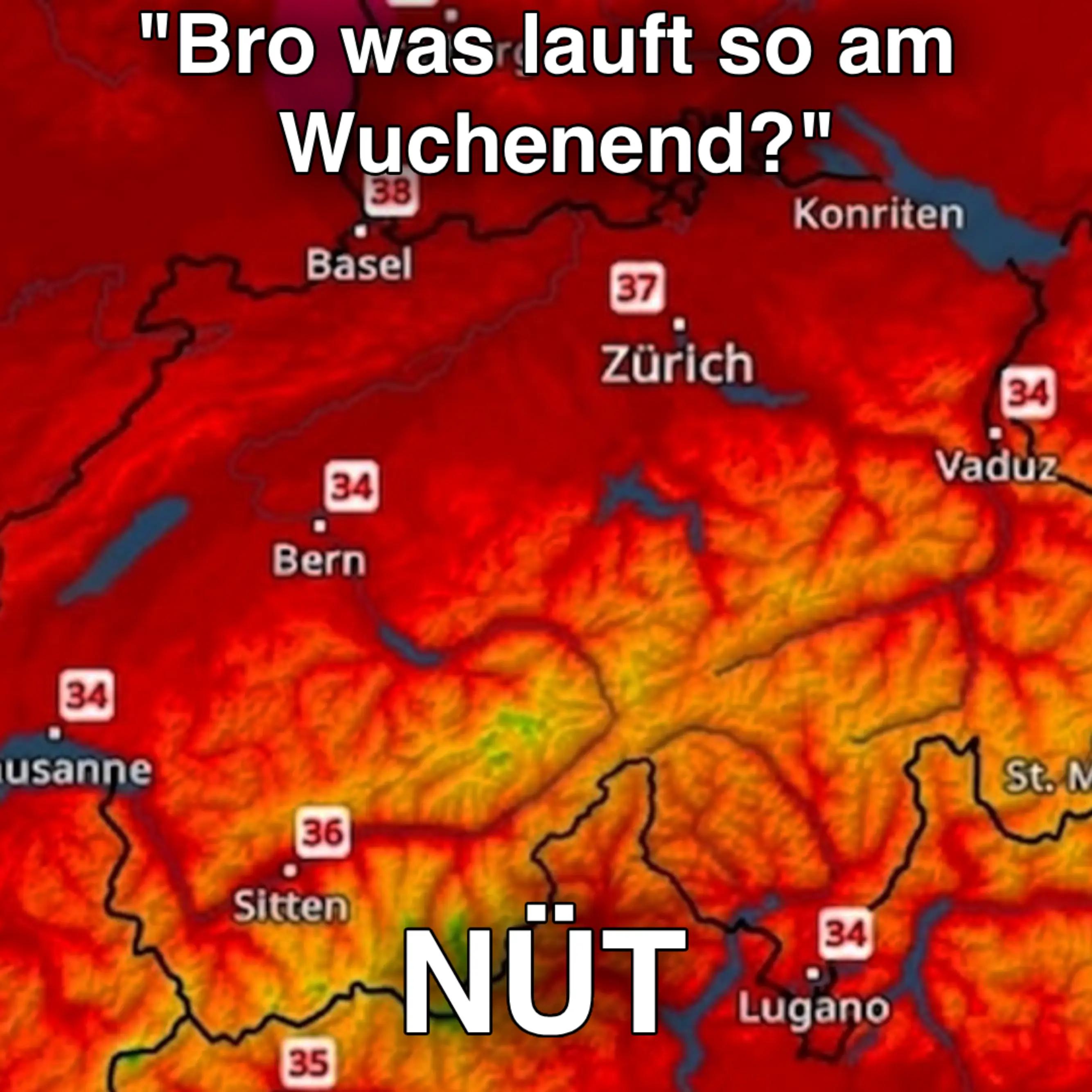 @hajdgenoss
