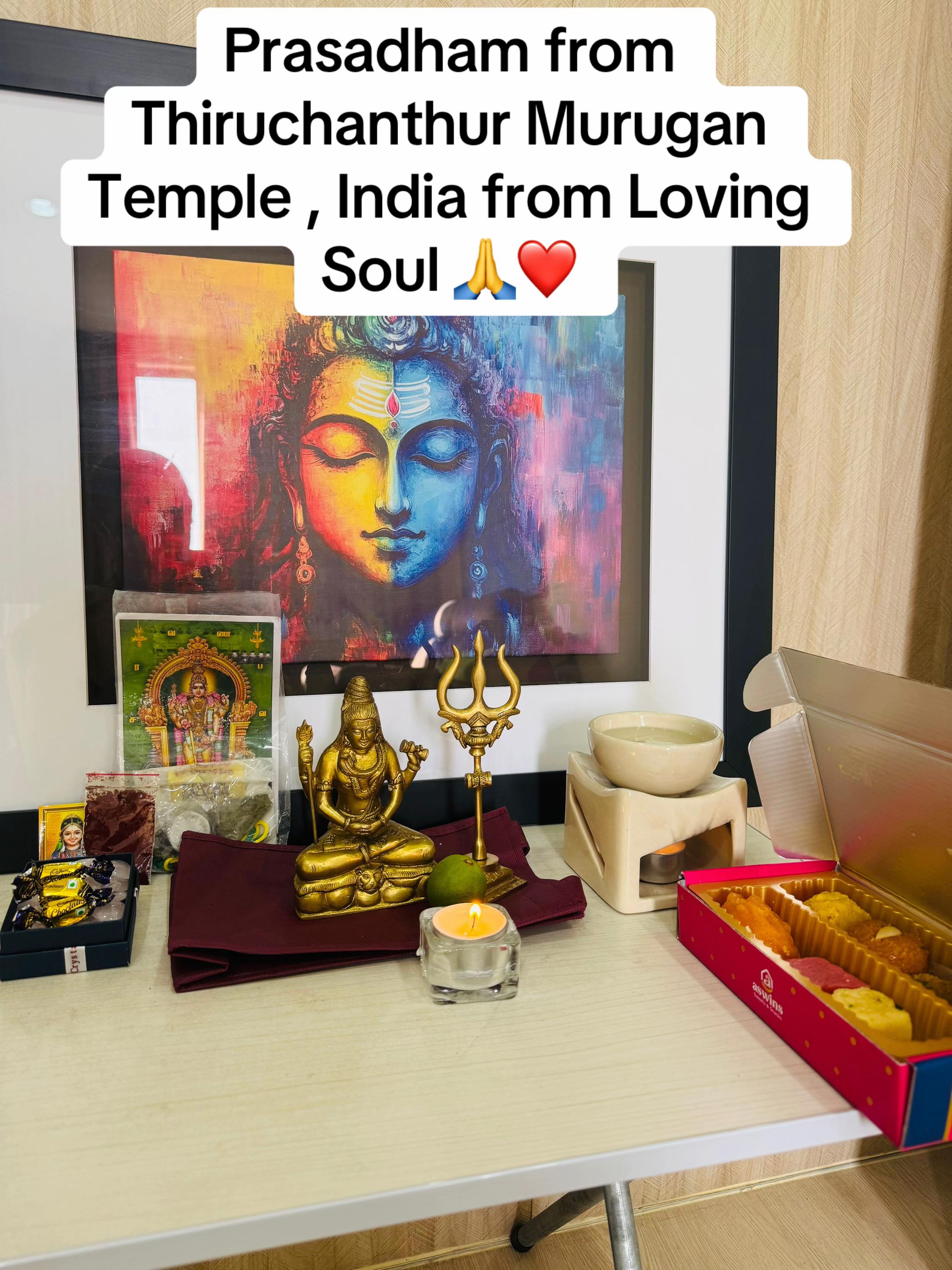 @WhitePigeon Holistic Services