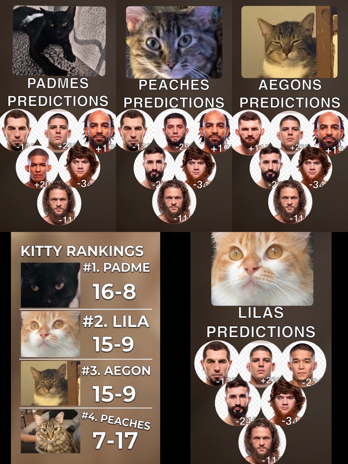 @Kitty Picks MMA