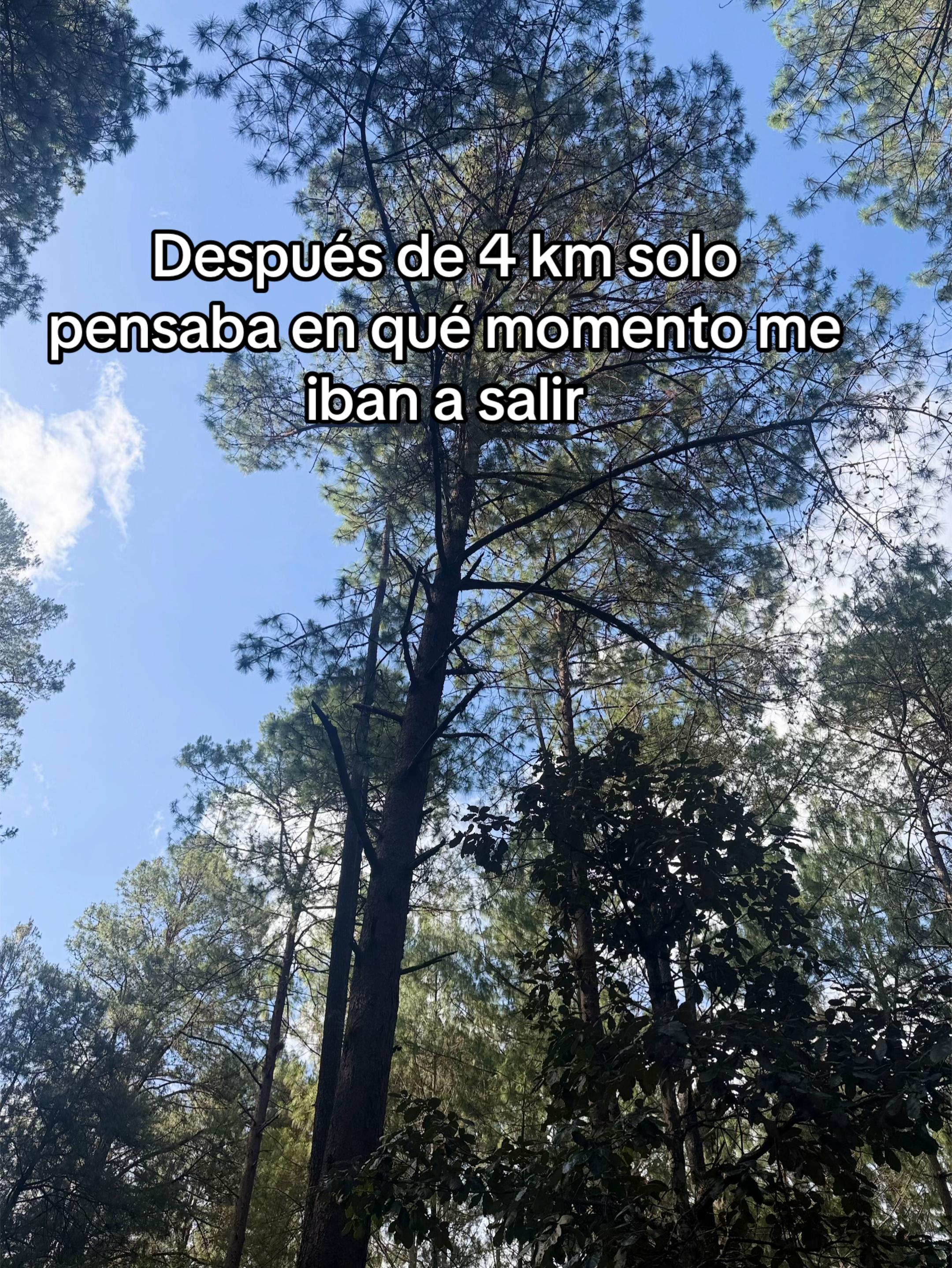 @Miriam Jimenez