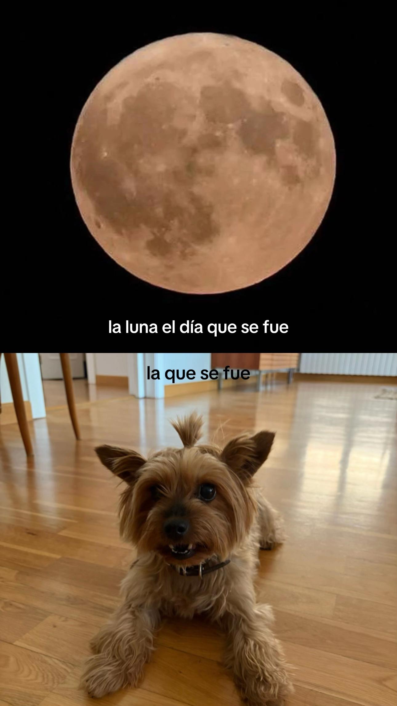 @🧠💜